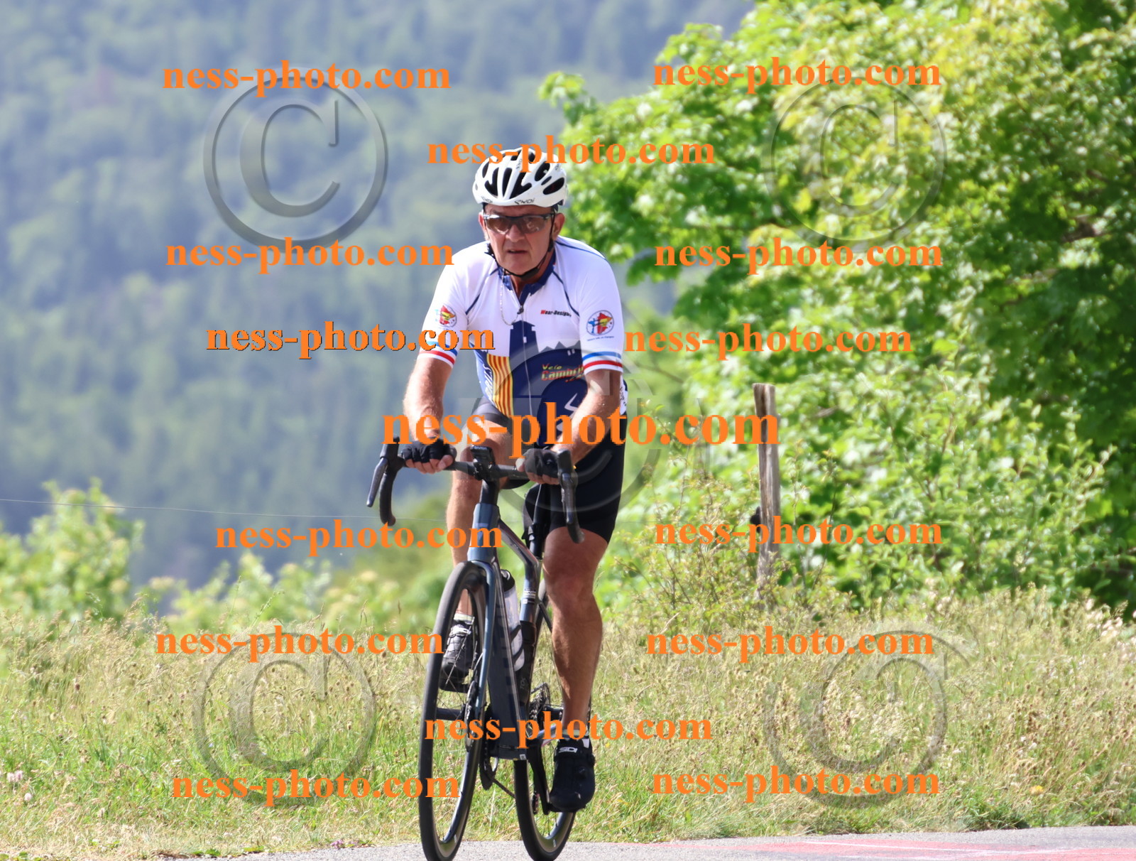 Col du grand Colombier (1034).JPG