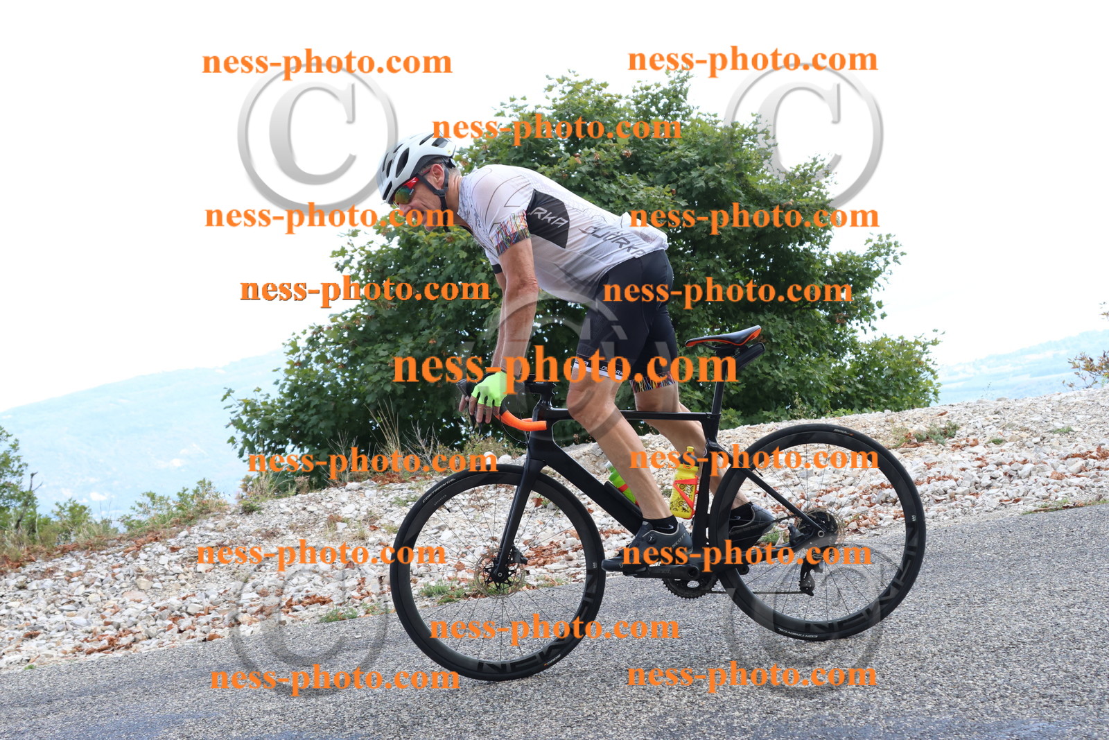 Col du Grand Colombier (741).JPG