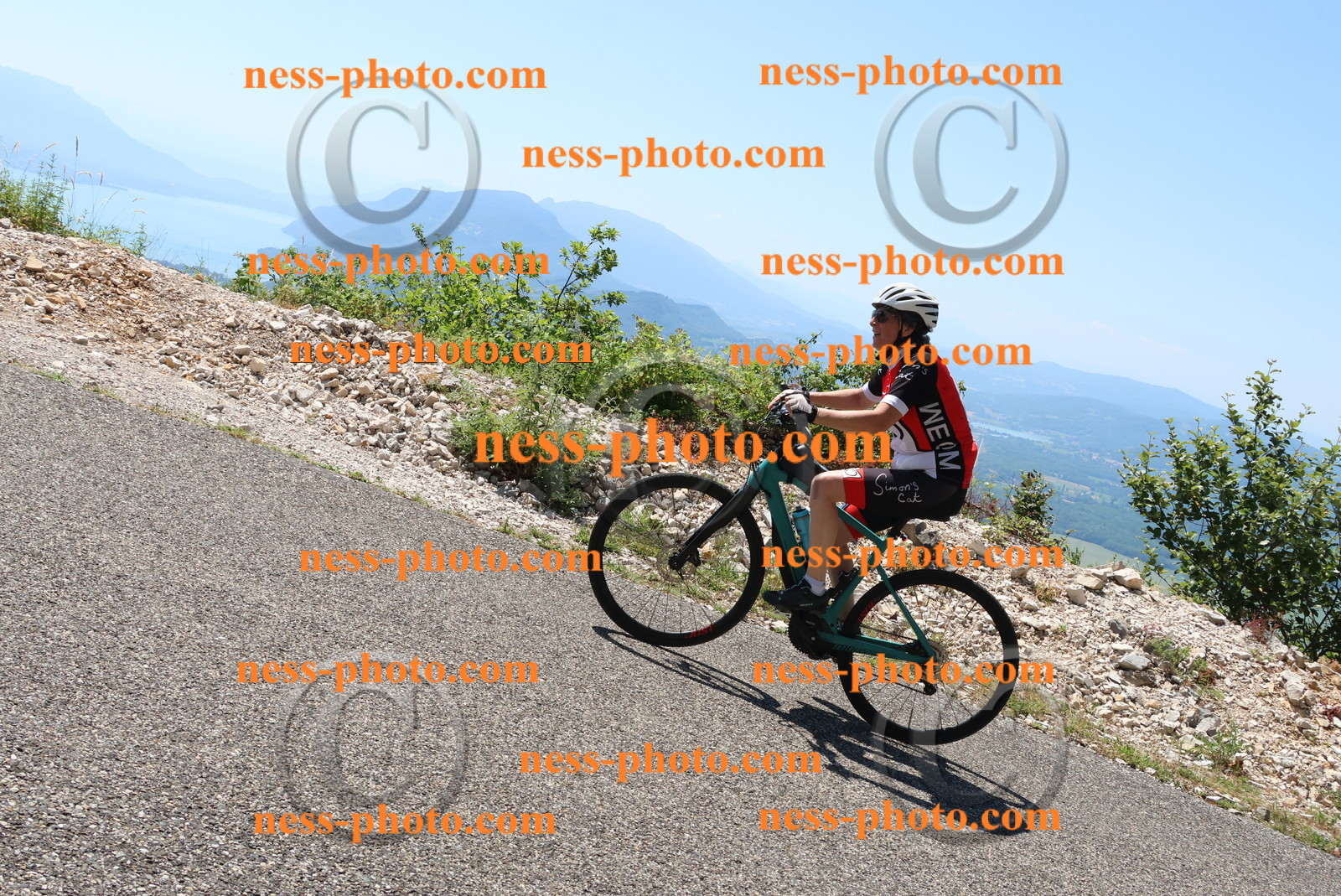 Col du Grand Colombier (486).JPG