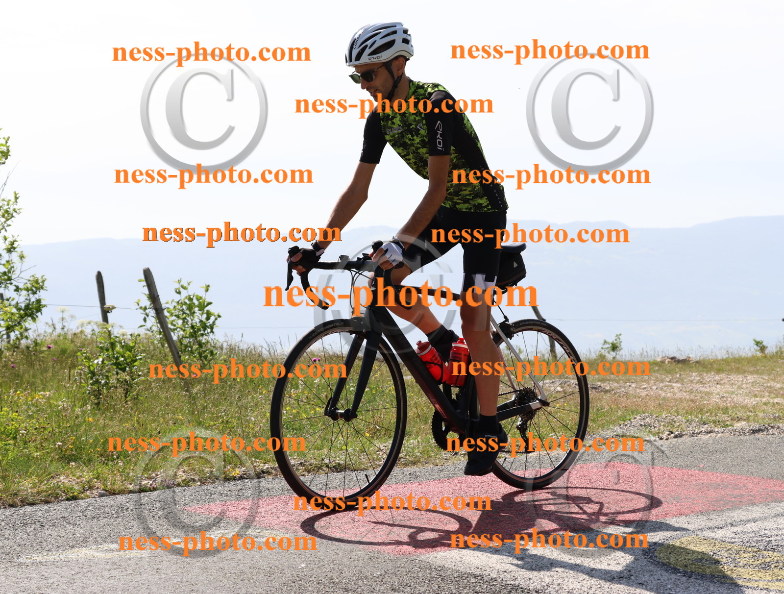 Col du grand Colombier (459).JPG