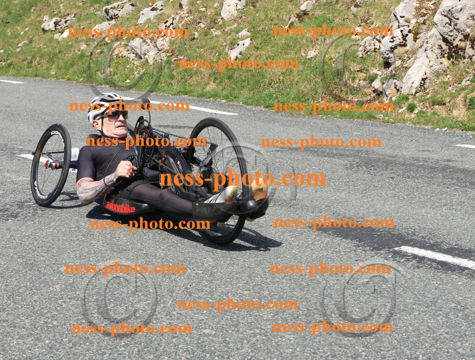 Col du Grand Colombier (1501).JPG