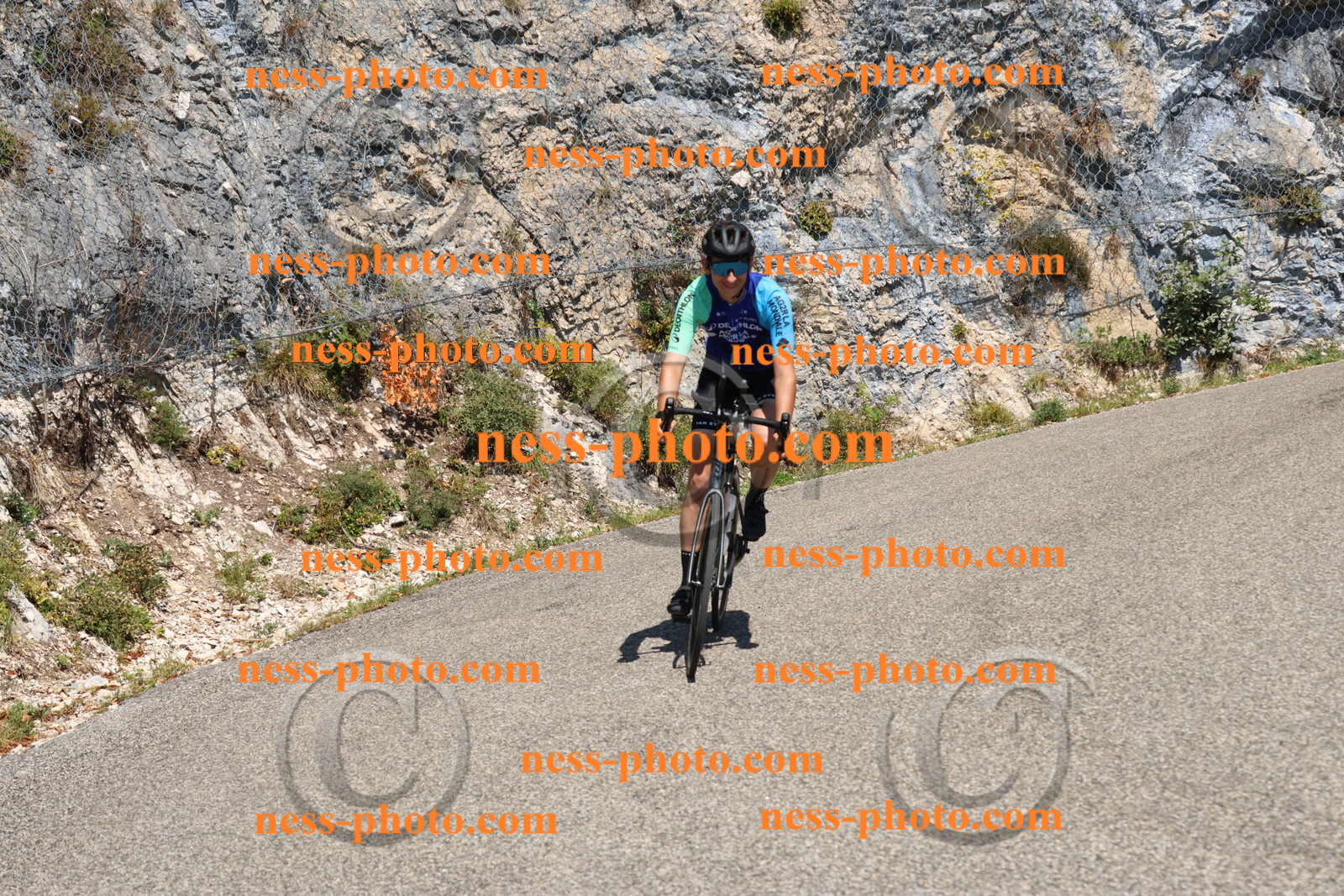 Col du Grand Colombier (502).JPG