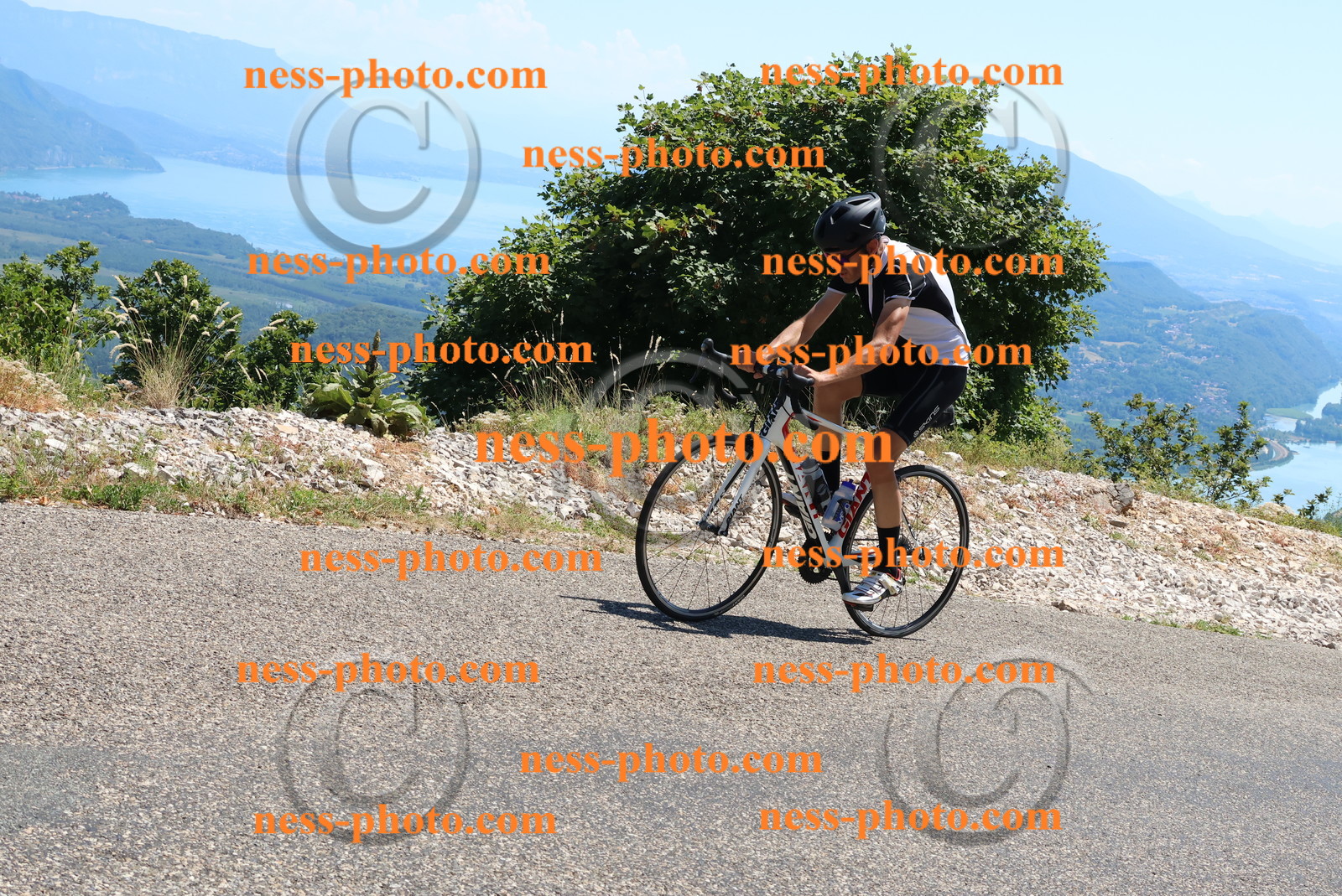 Col du Grand Colombier (591).JPG