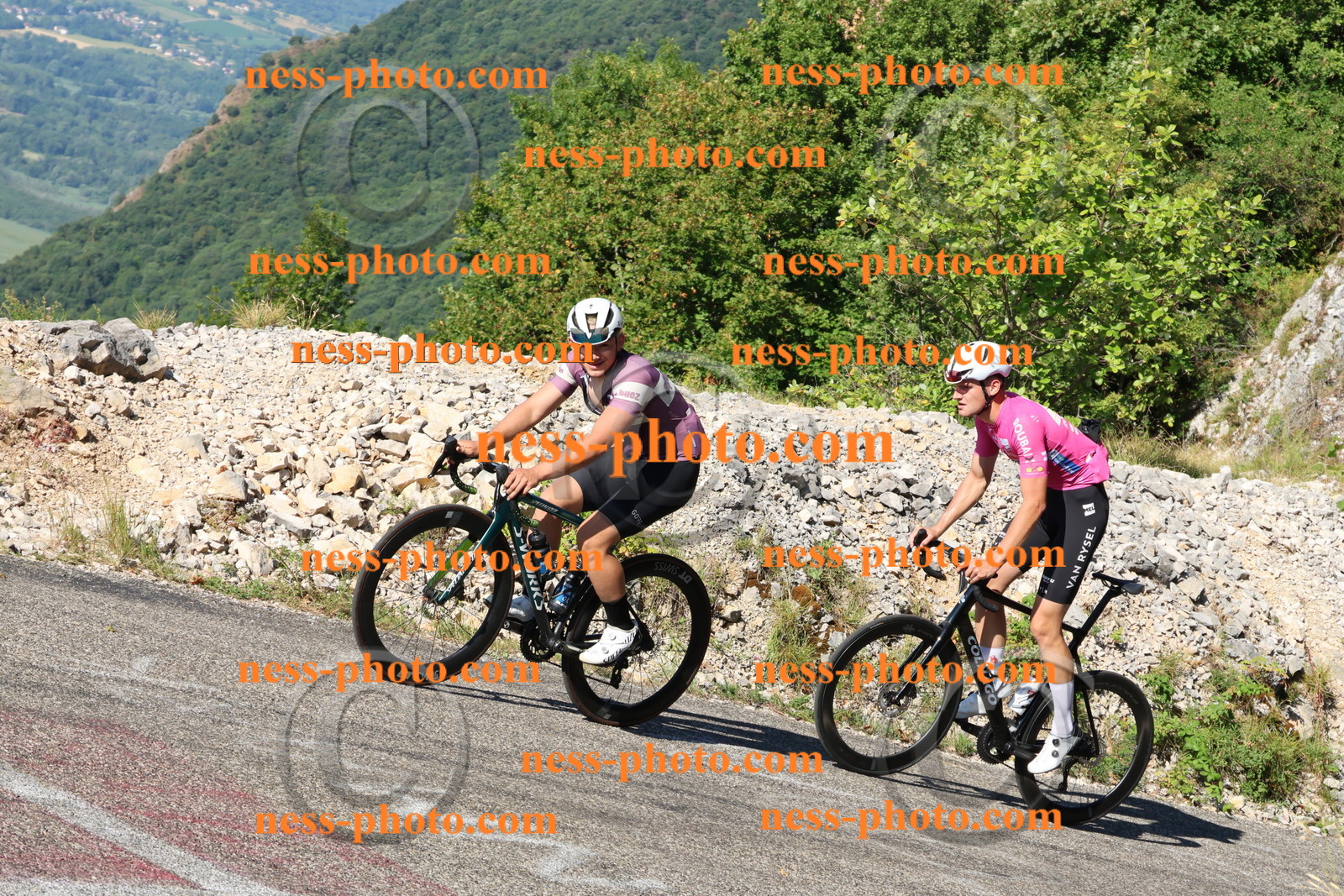 Col du Grand Colombier (1321).JPG