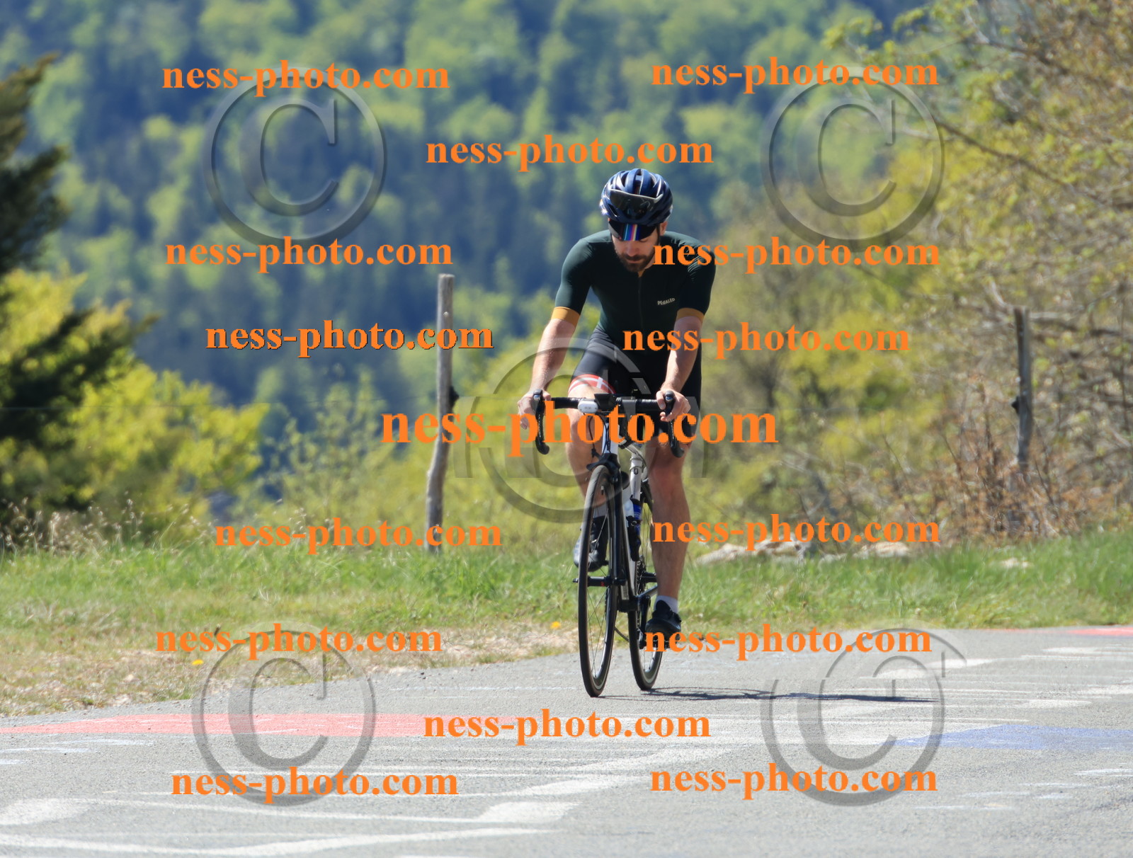 Col du grand Colombier (46).JPG