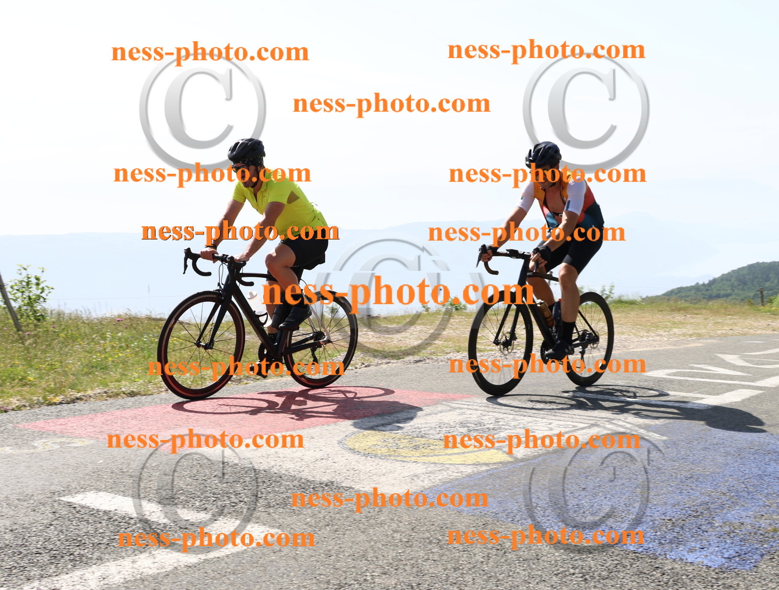 Col du grand Colombier (751).JPG