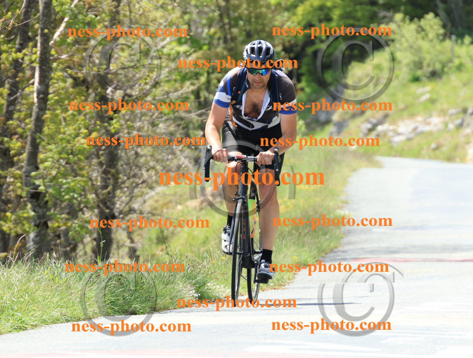 Col du Grand Colombier (243).JPG