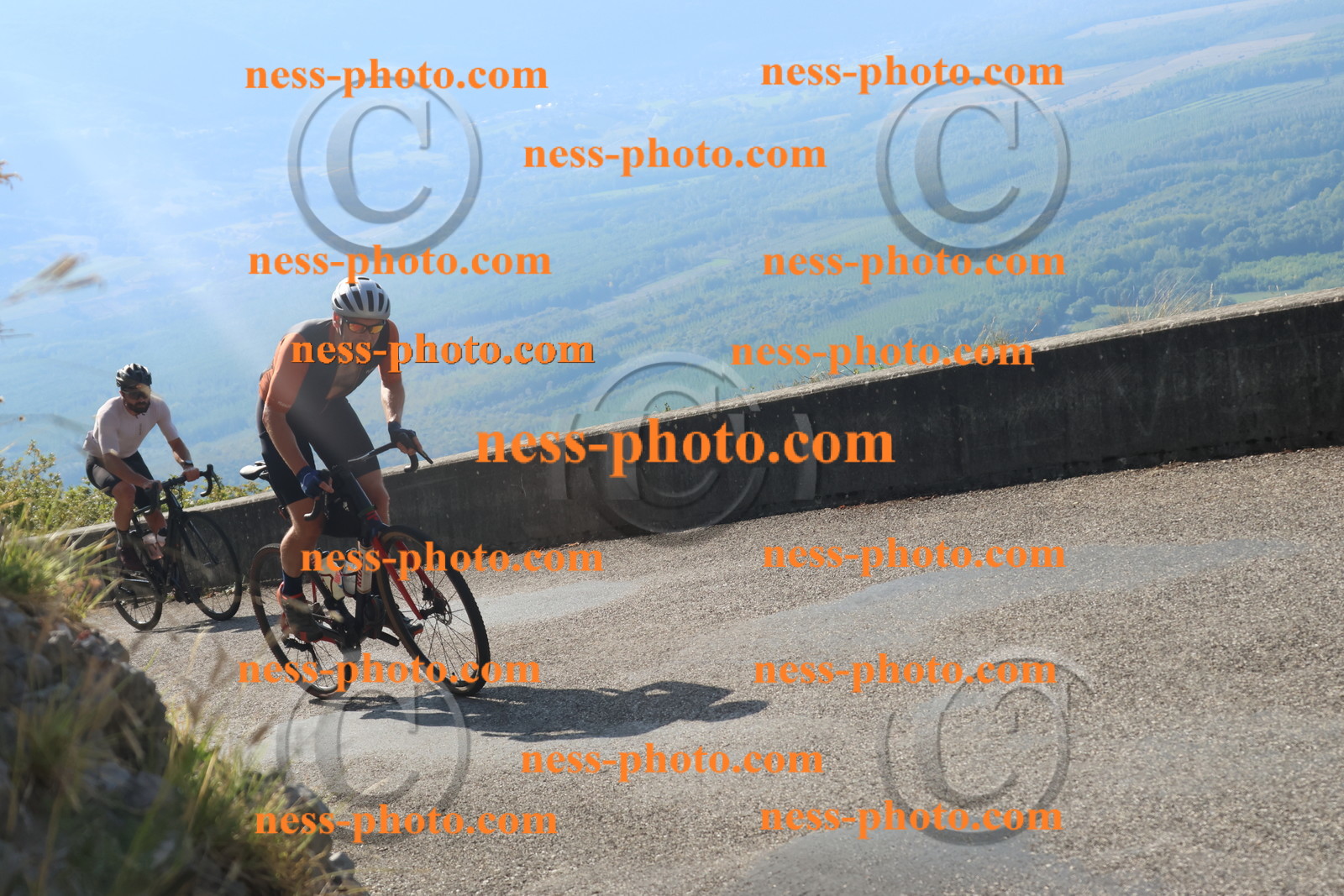 Col du Grand Colombier (2137).JPG