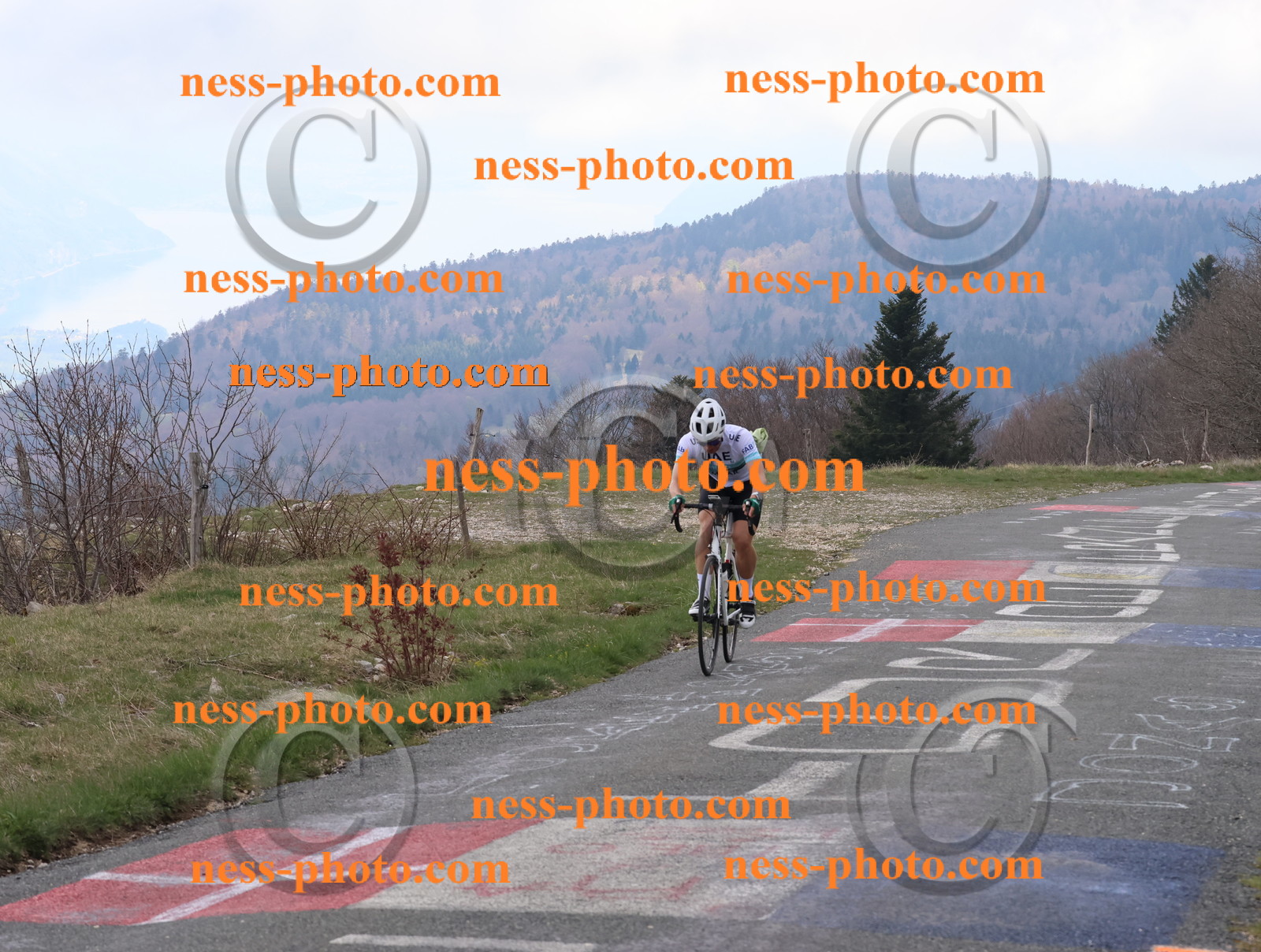 Col du Grand Colombier (146).JPG