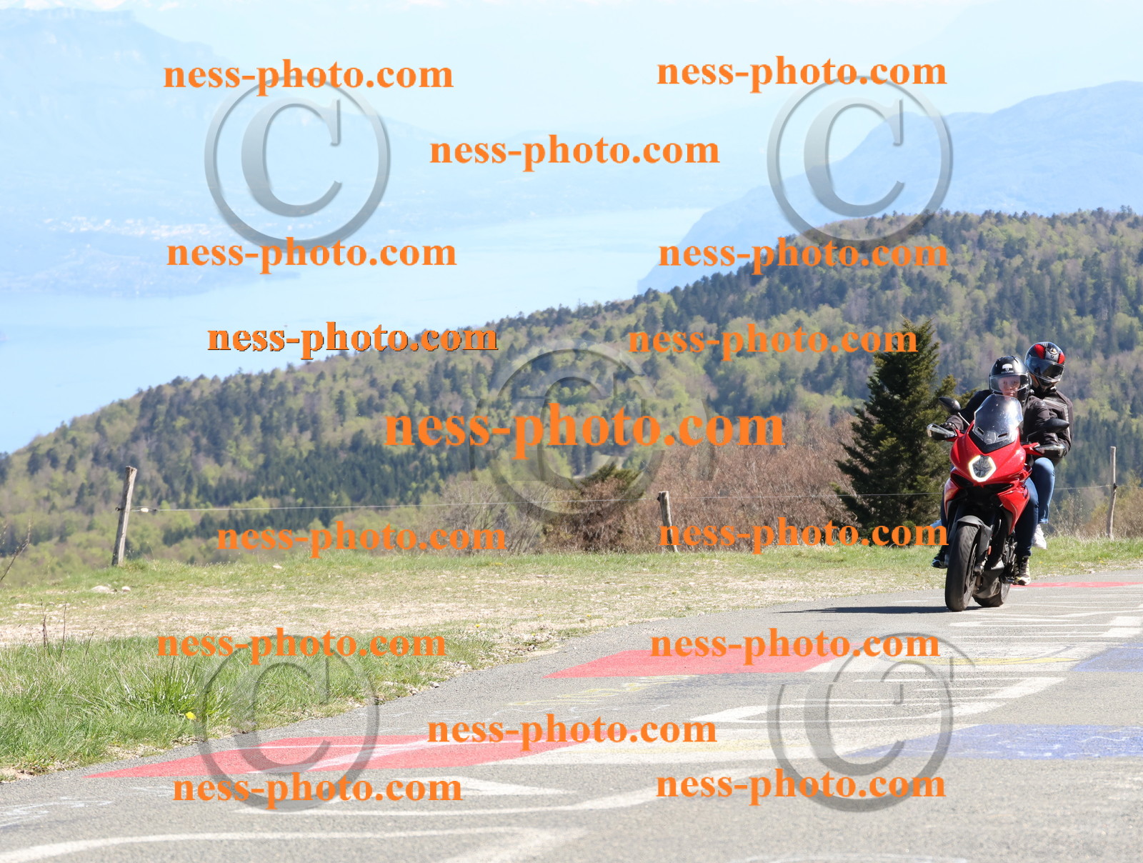 Col du Grand Colombier (369).JPG