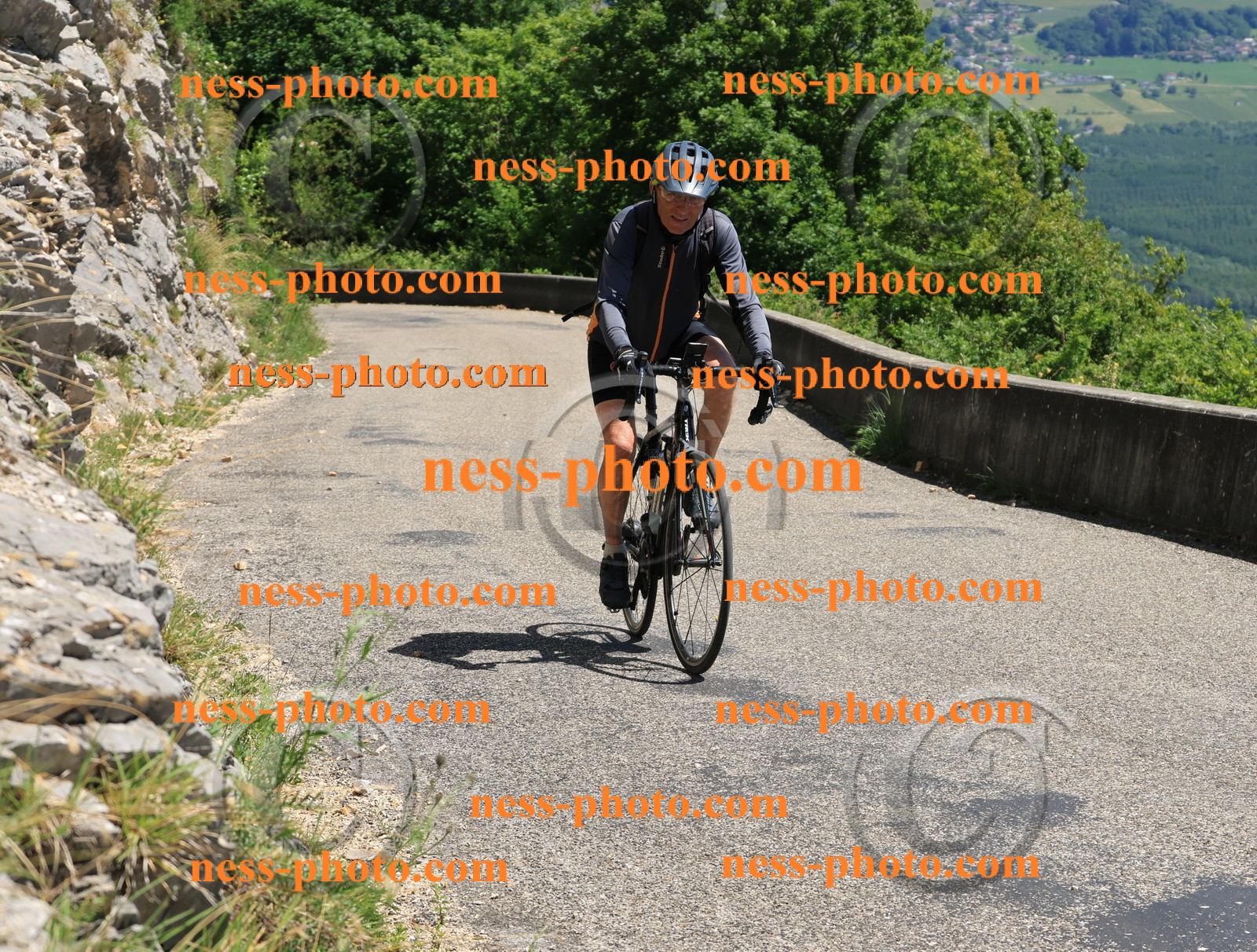 Col du Grand Colombier (657).JPG