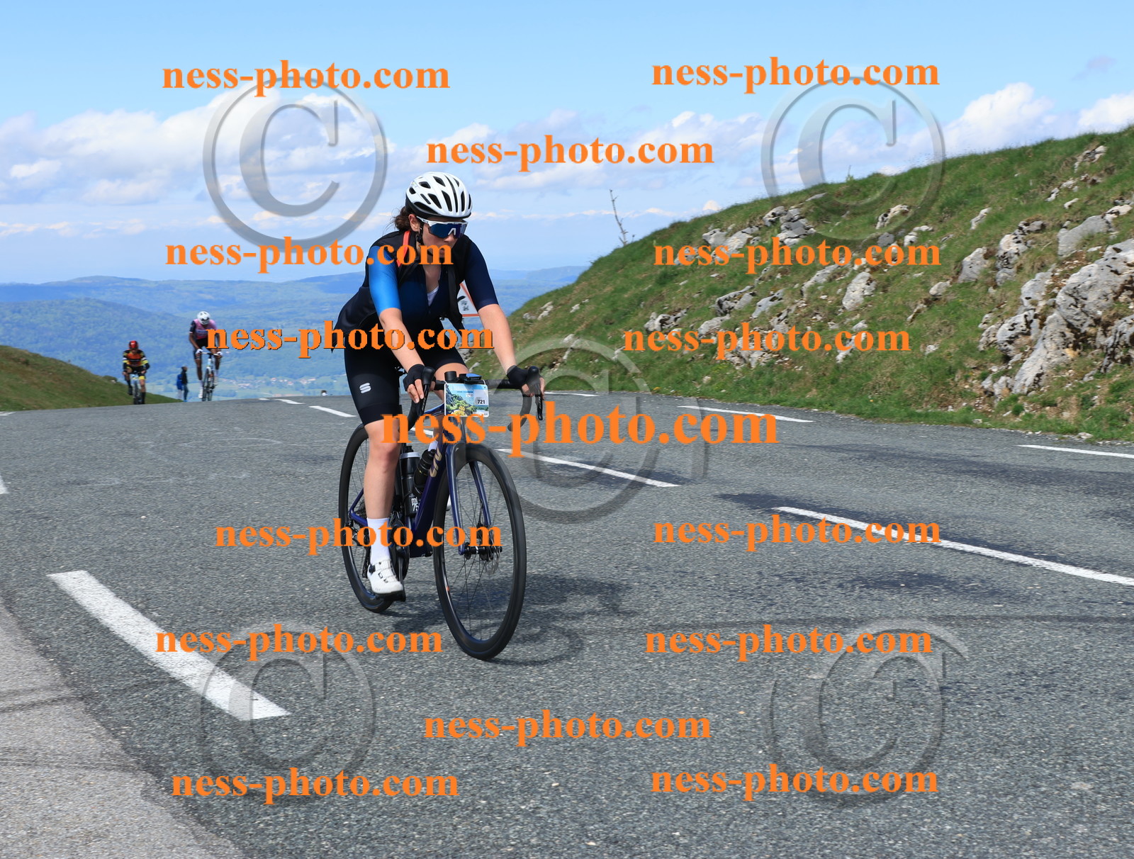 Col du Grand Colombier (918).JPG