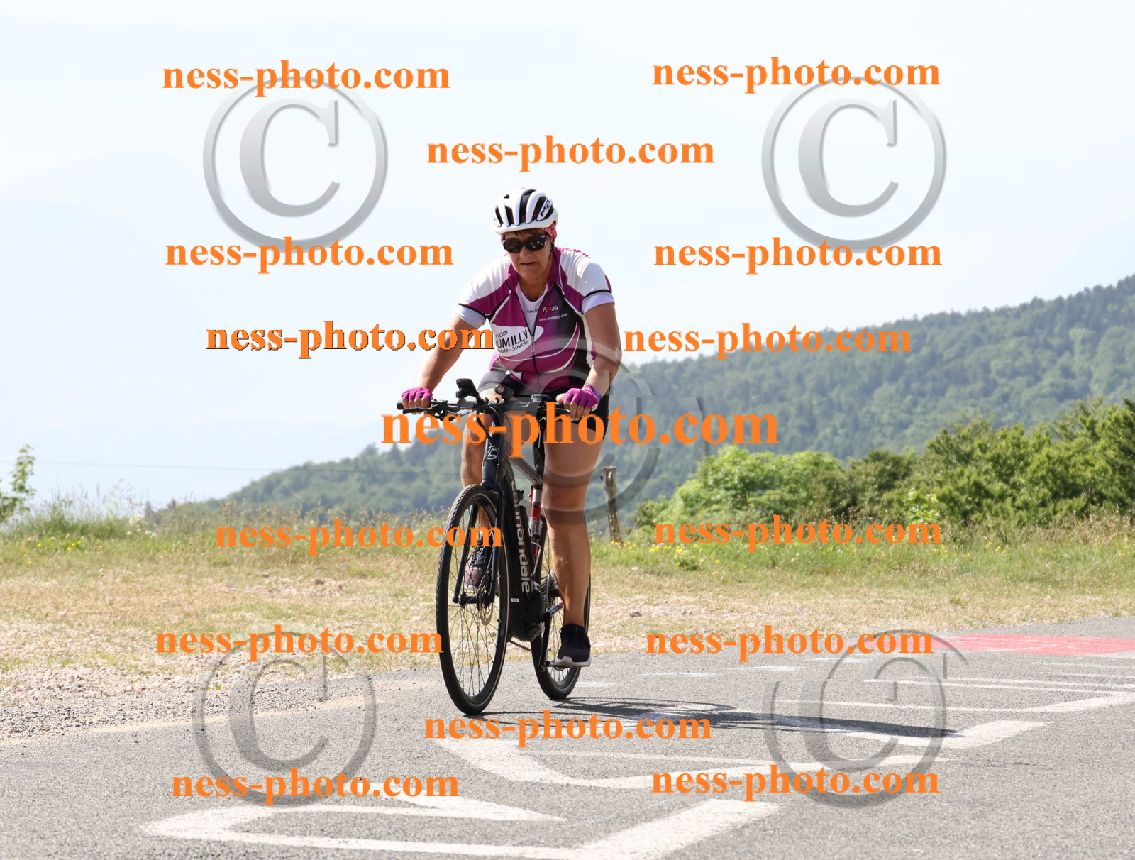 Col du grand Colombier (775).JPG