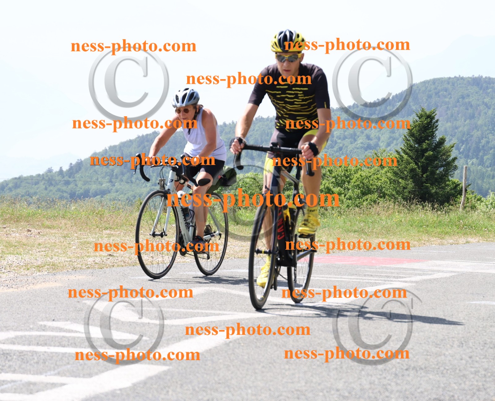 Col du grand Colombier (1467).JPG