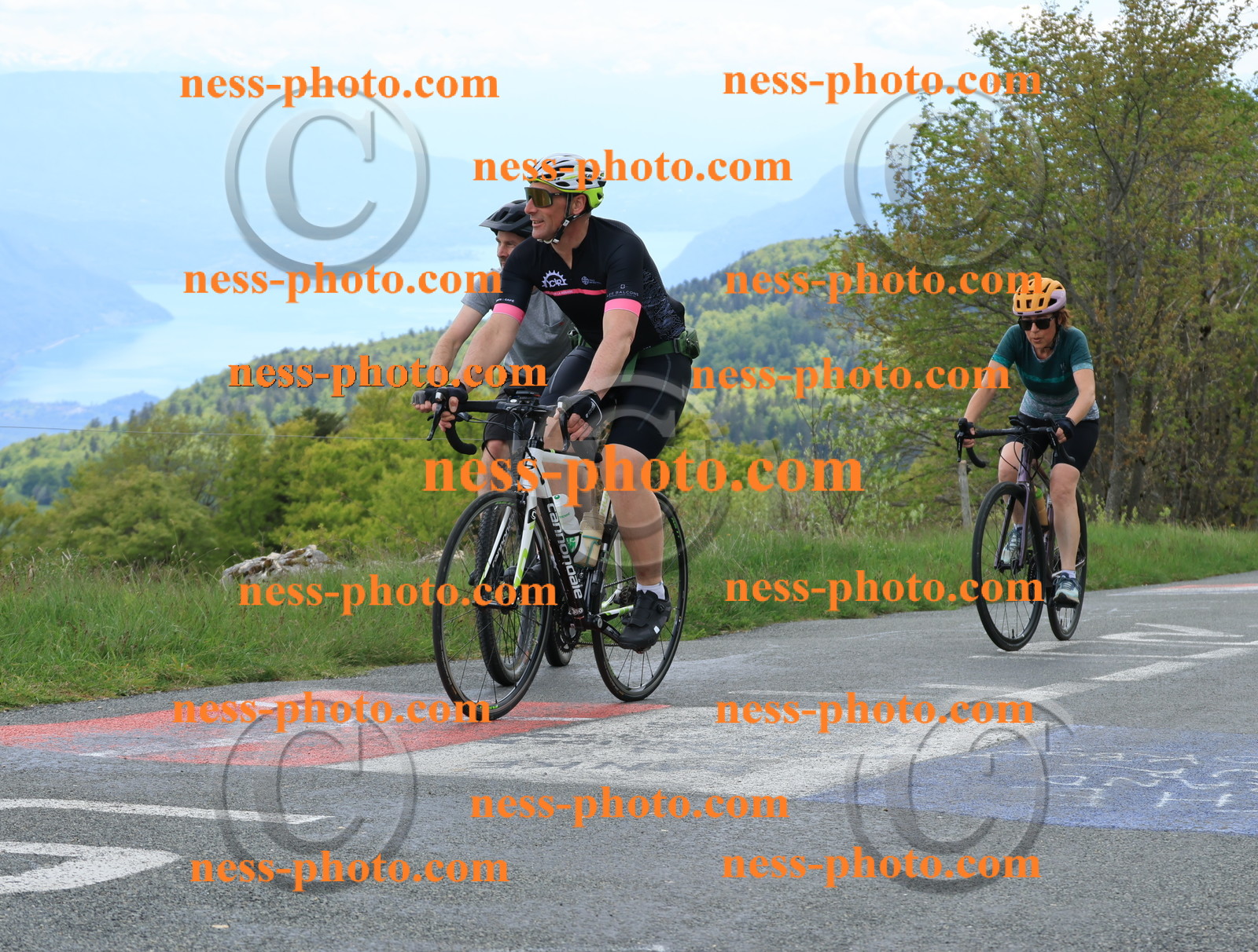 Col du Grand Colombier (593).JPG