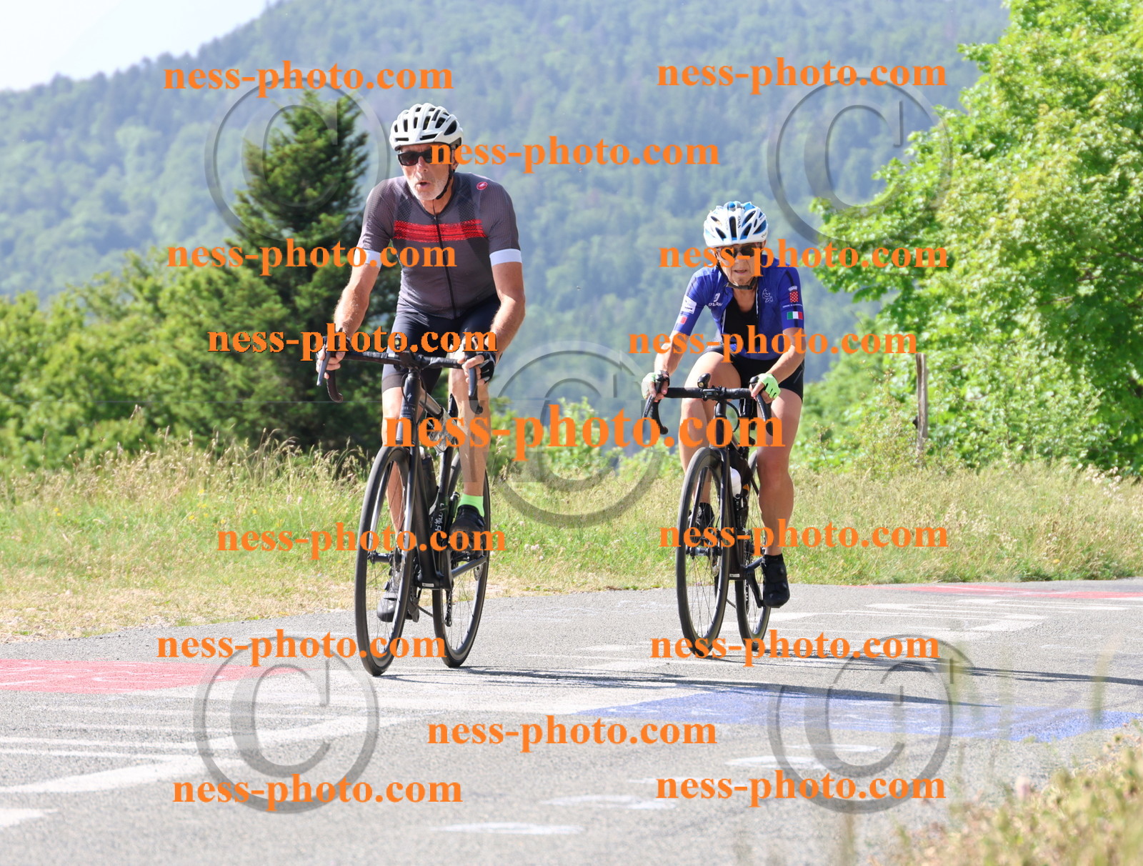 Col du grand Colombier (582).JPG