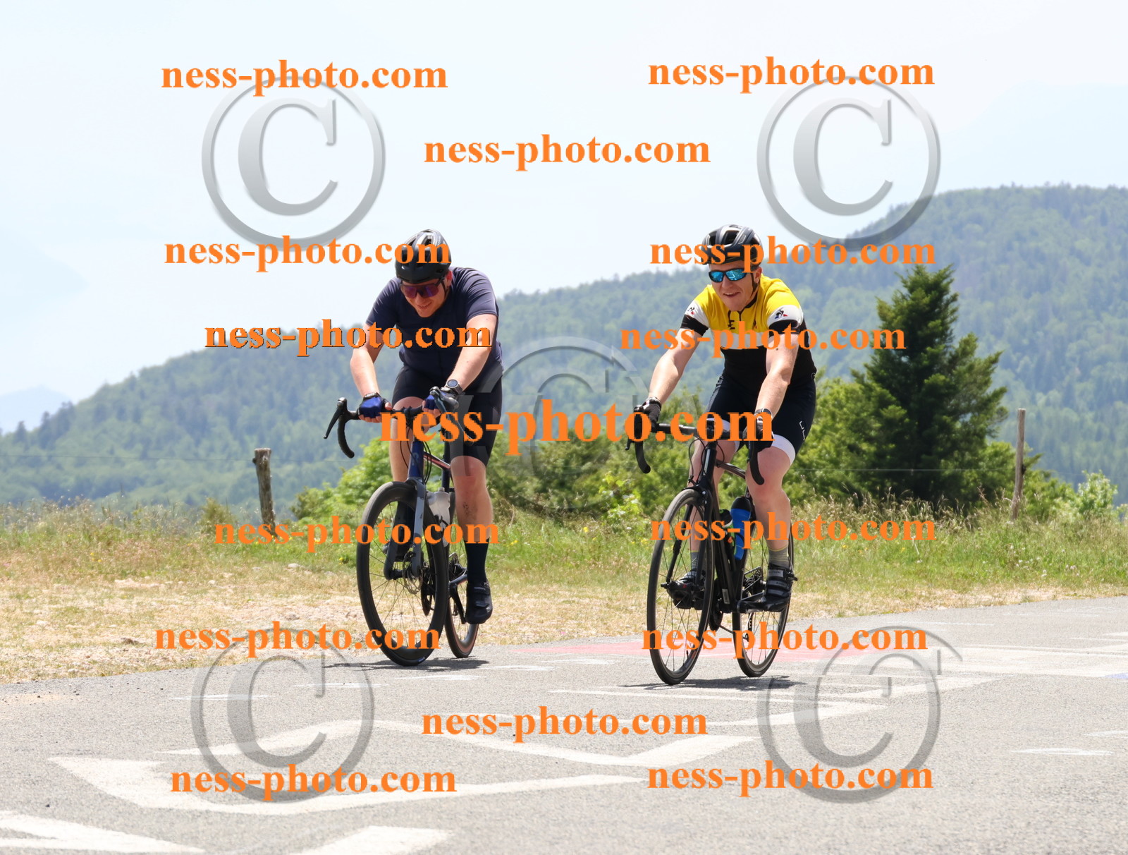 Col du grand Colombier (2952).JPG