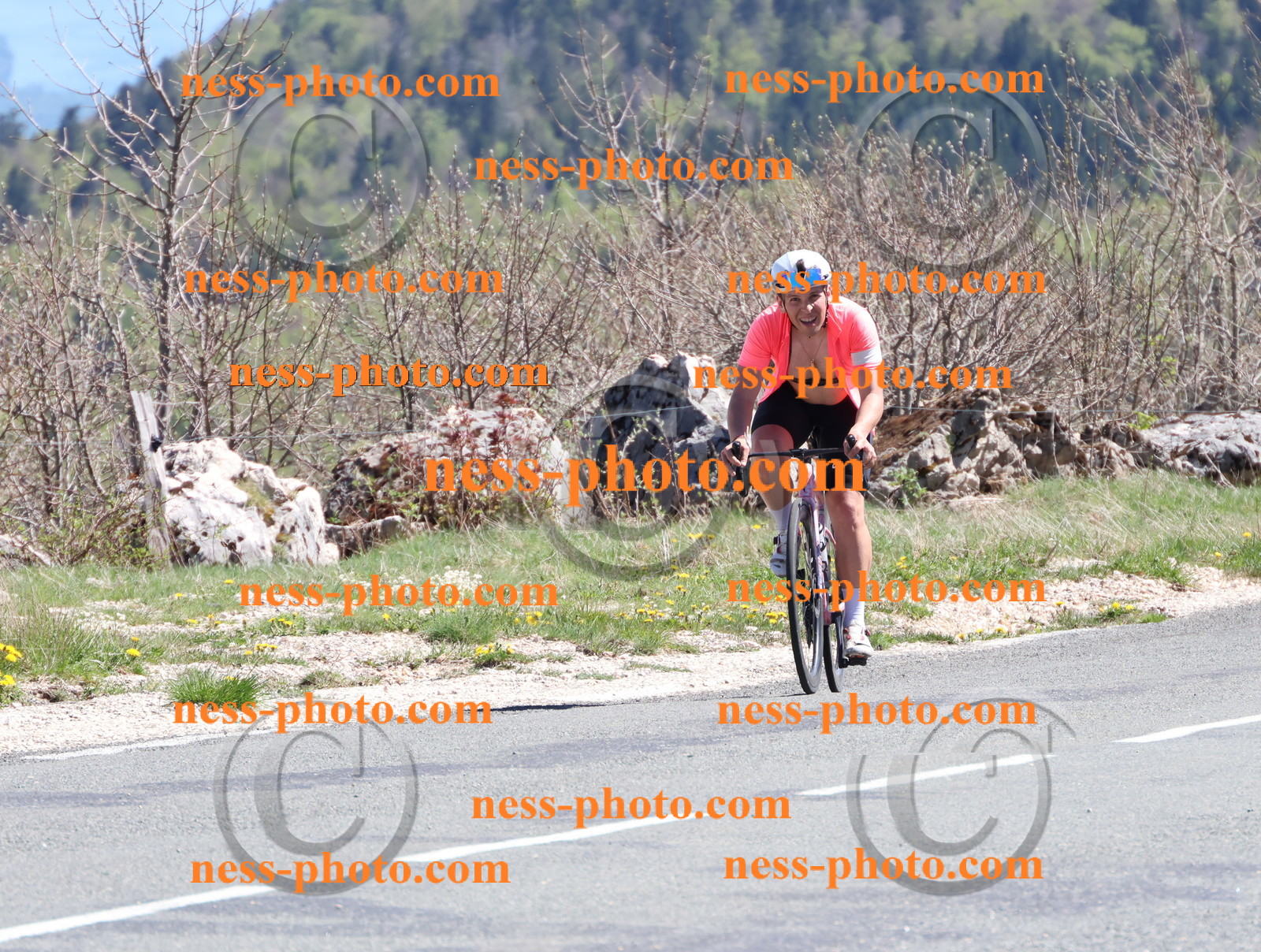 Col du Grand Colombier (951).JPG