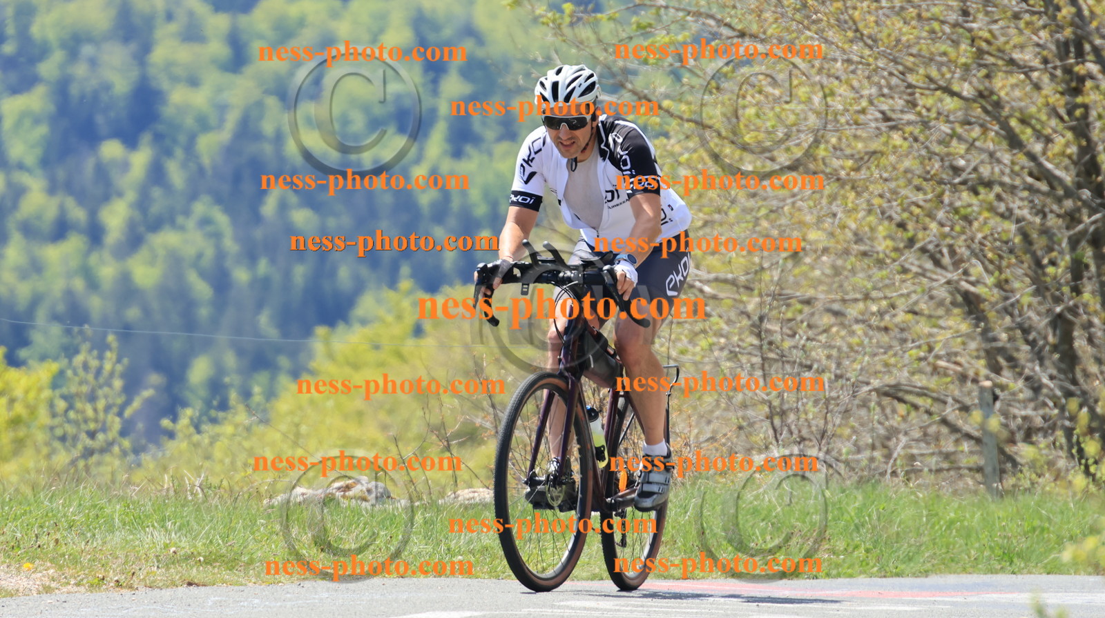 Col du grand Colombier (65).JPG