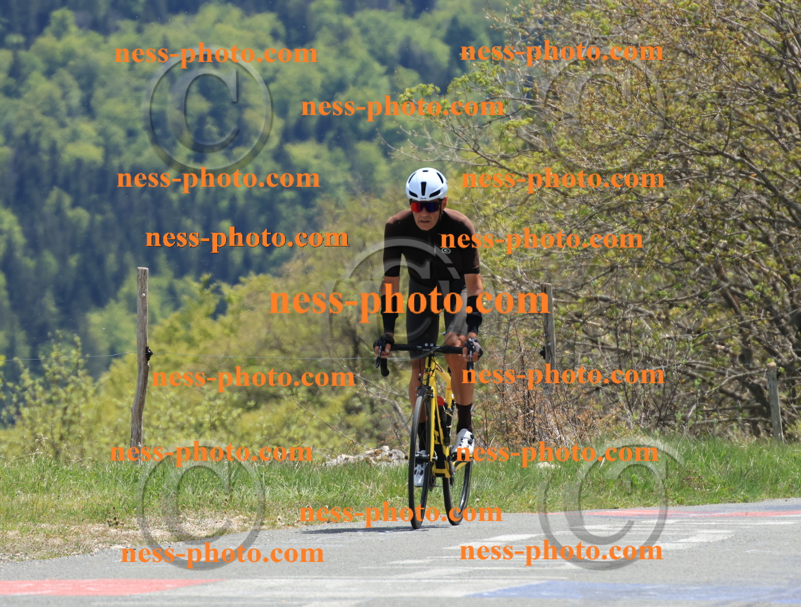 Col du Grand Colombier (500).JPG