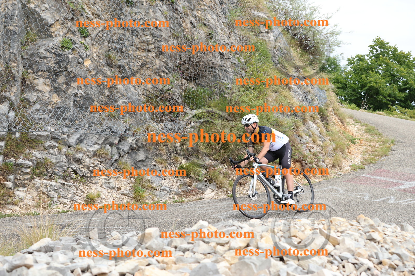 Col du Grand Colombier  (818).JPG