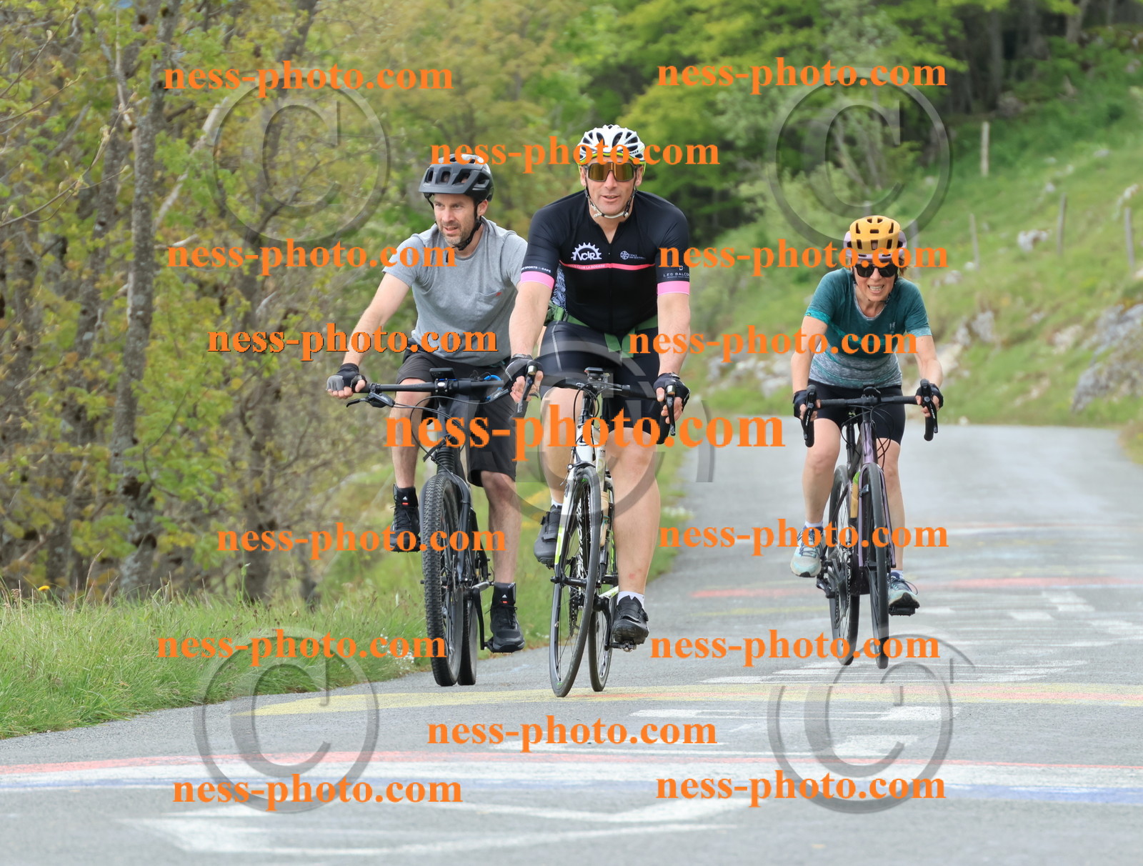 Col du Grand Colombier (587).JPG