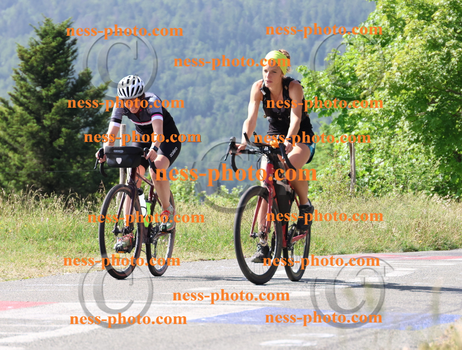 Col du grand Colombier (468).JPG