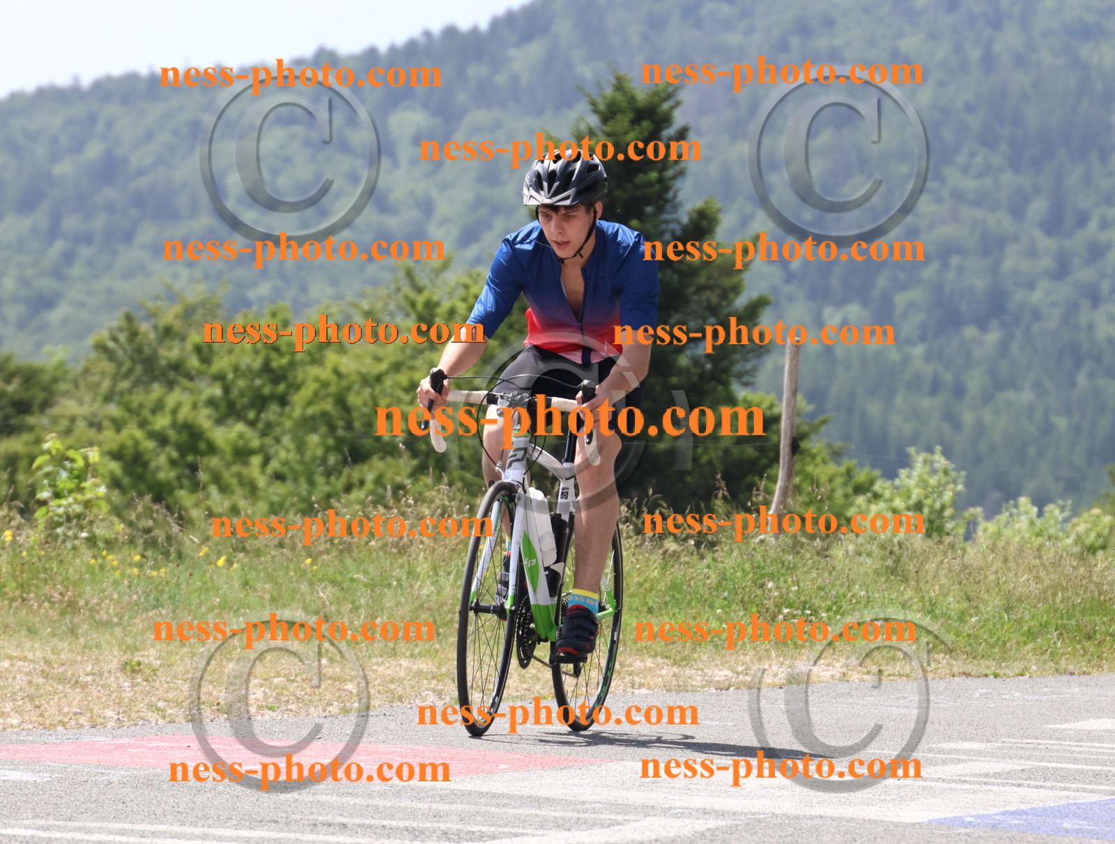 Col du grand Colombier (2123).JPG