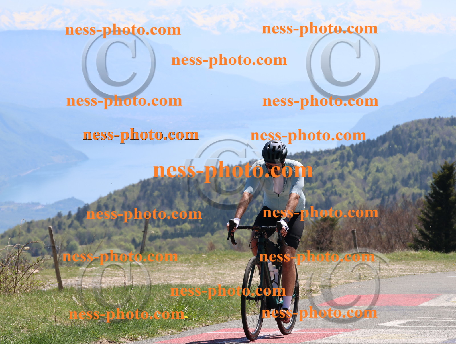 Col du Grand Colombier (780).JPG