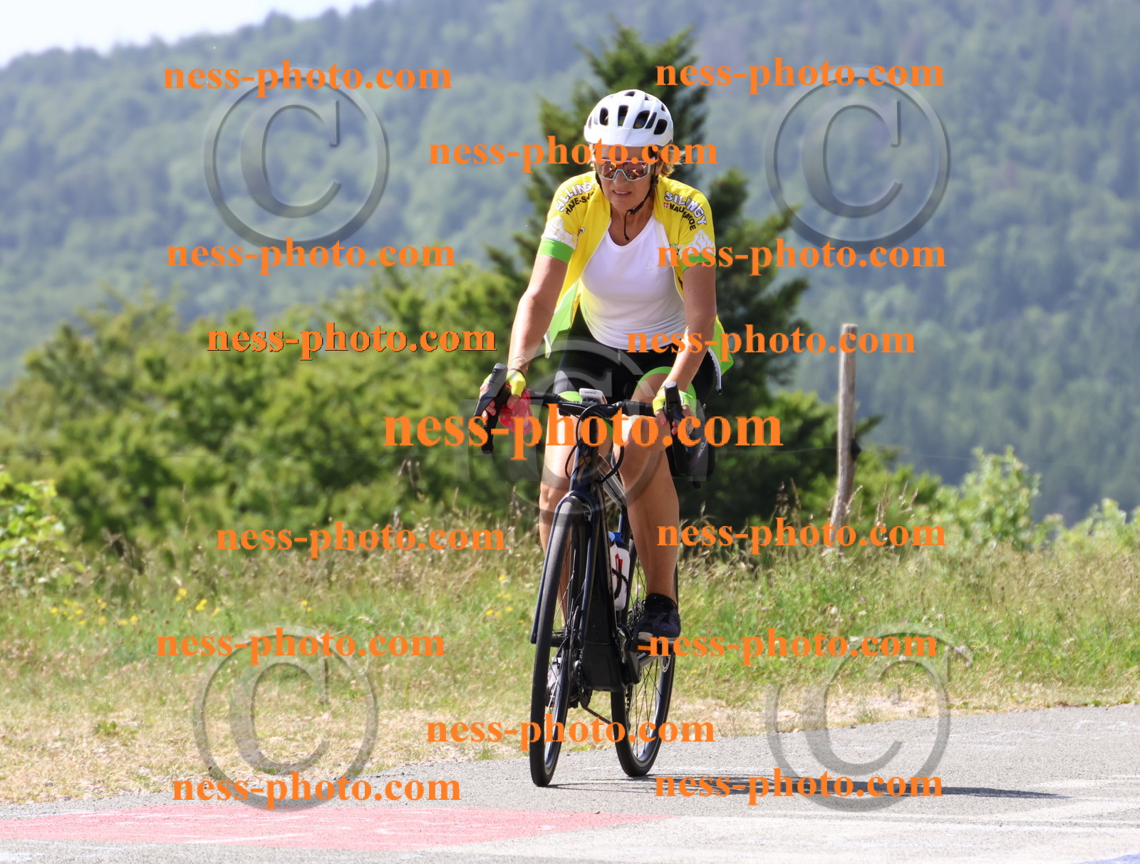 Col du grand Colombier (1492).JPG