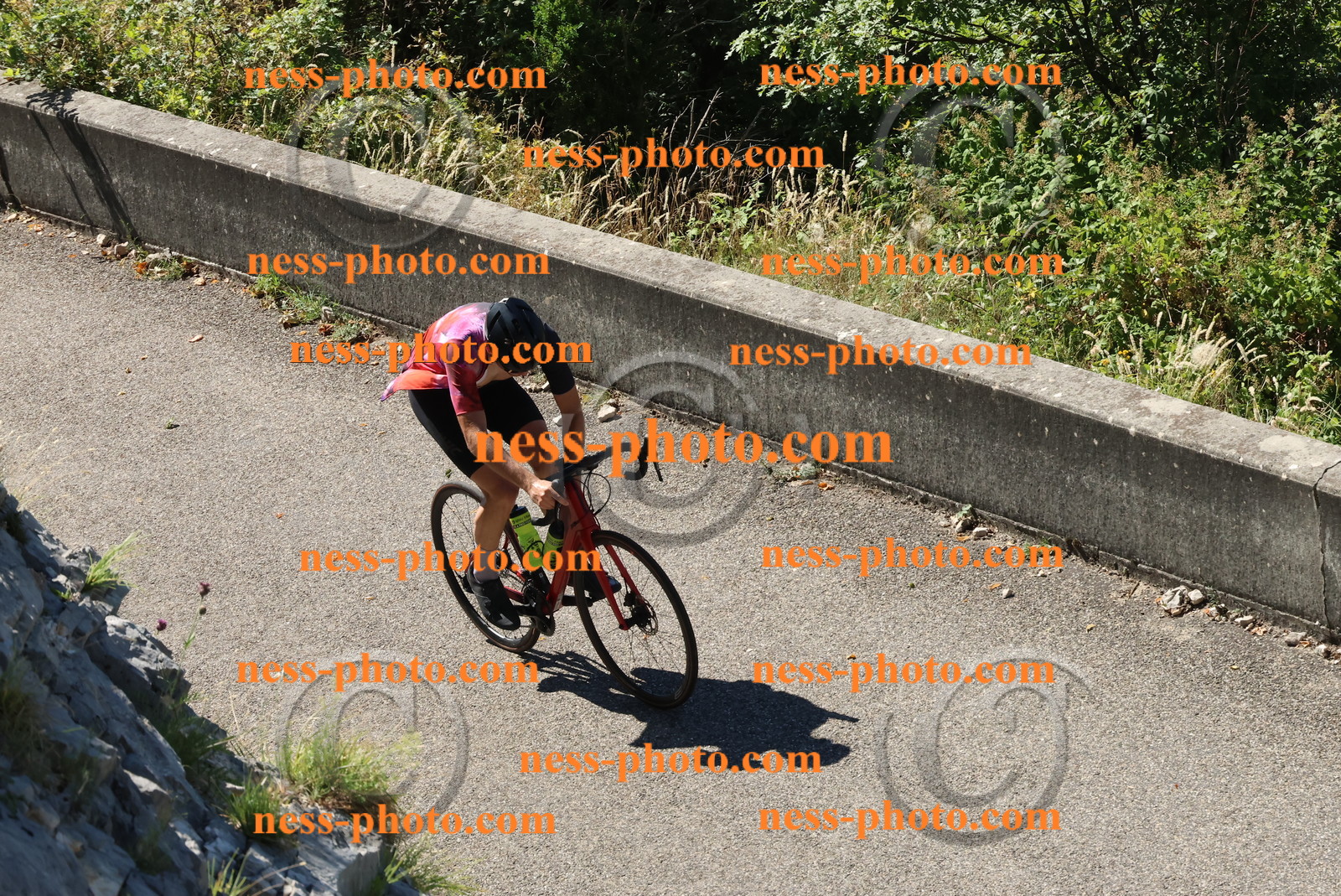 Col du Grand Colombier (253).JPG