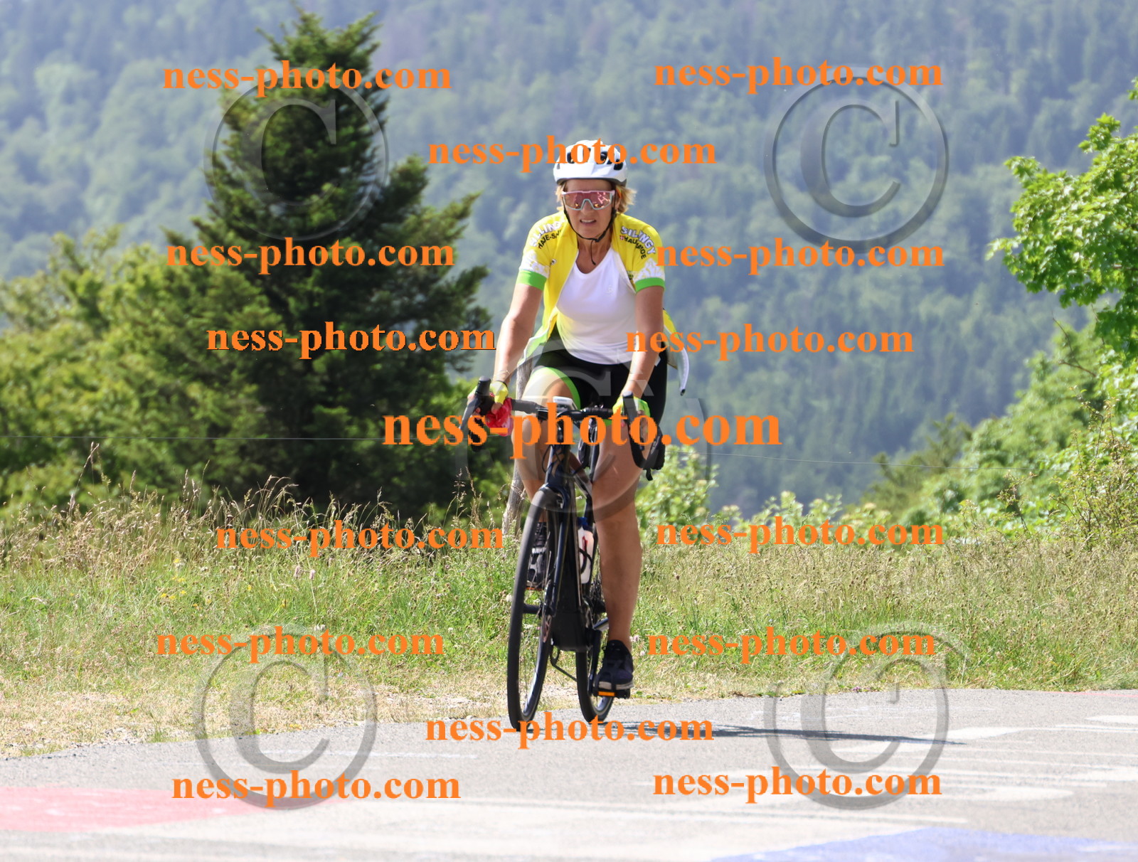 Col du grand Colombier (1491).JPG