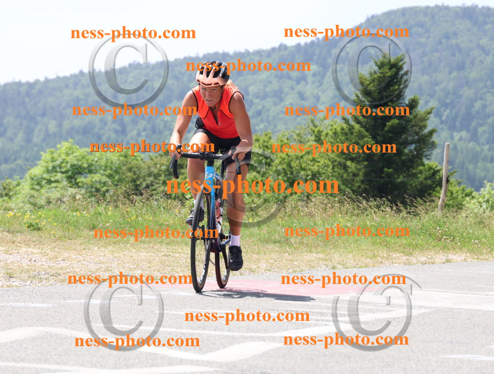 Col du grand Colombier (2065).JPG