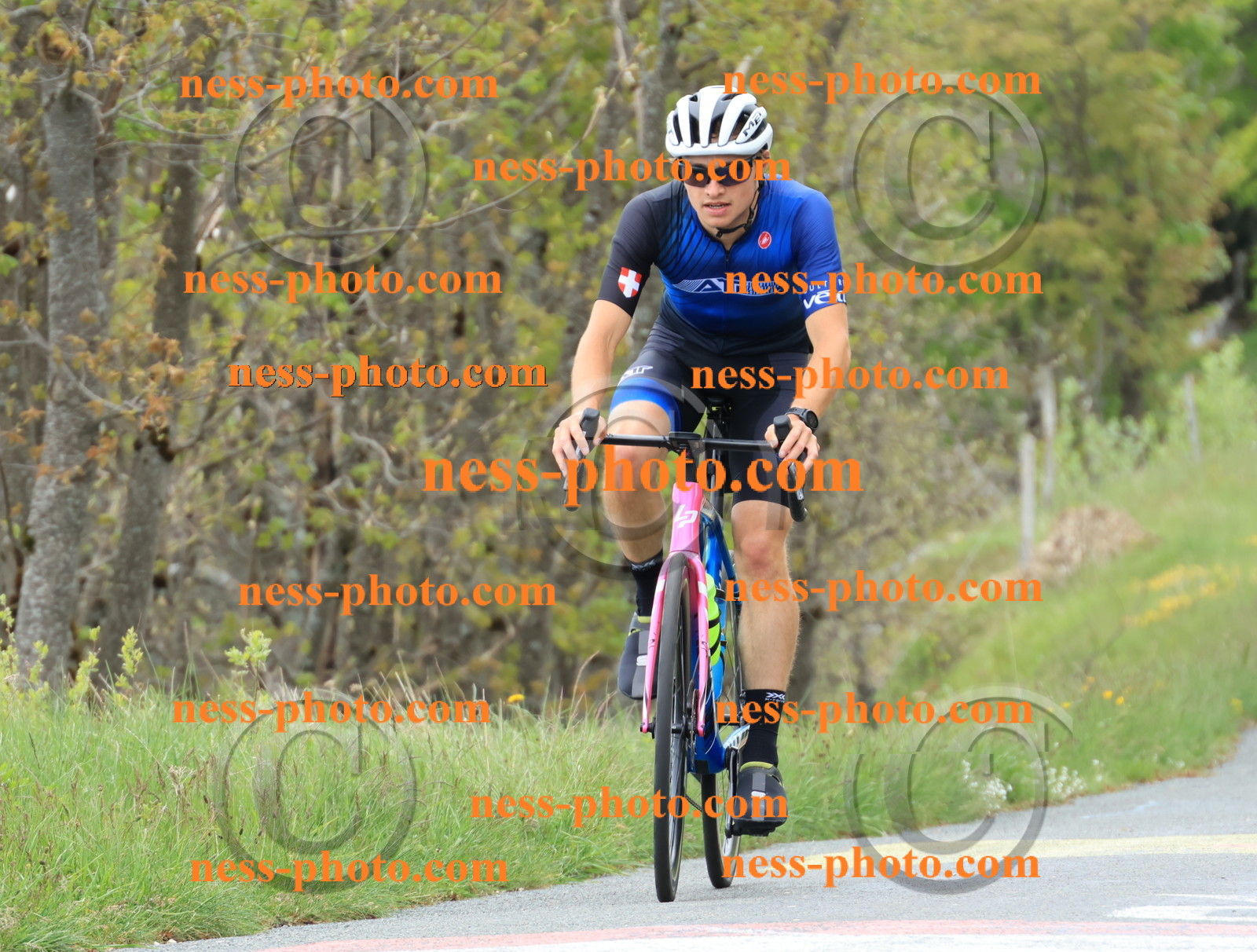 Col du Grand Colombier (559).JPG