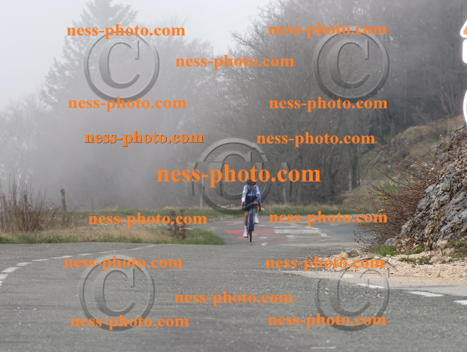 Col du Grand Colombier (30).JPG