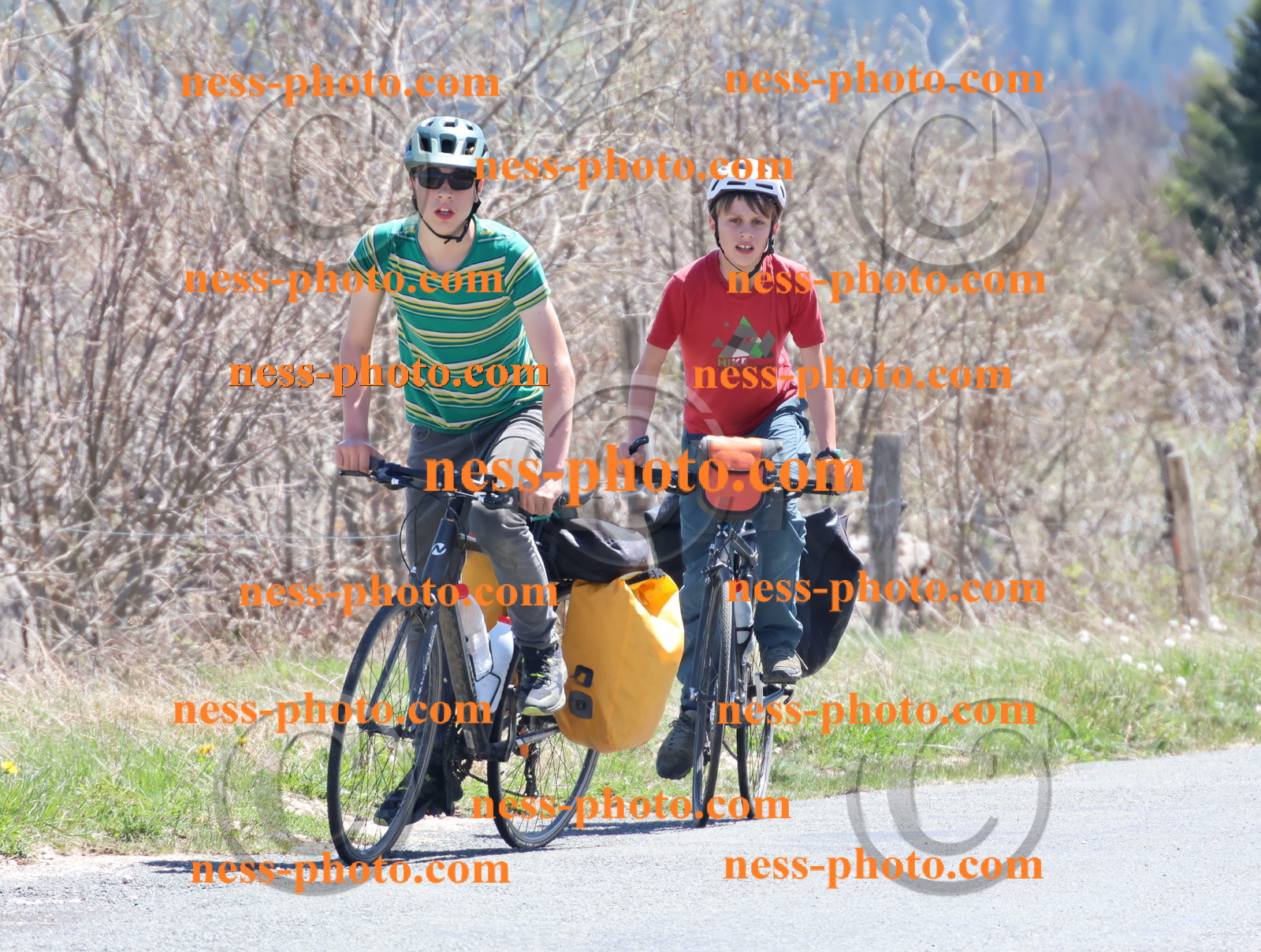 Col du Grand Colombier (812).JPG