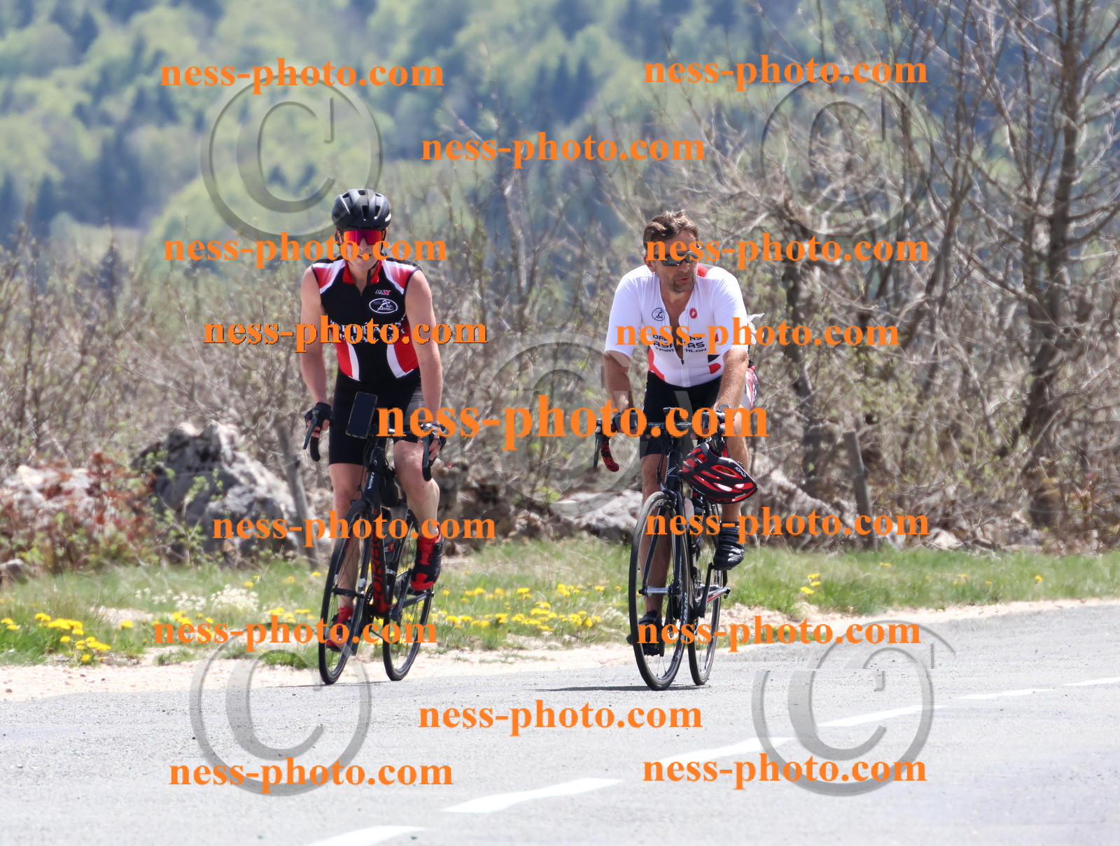 Col du Grand Colombier (724).JPG