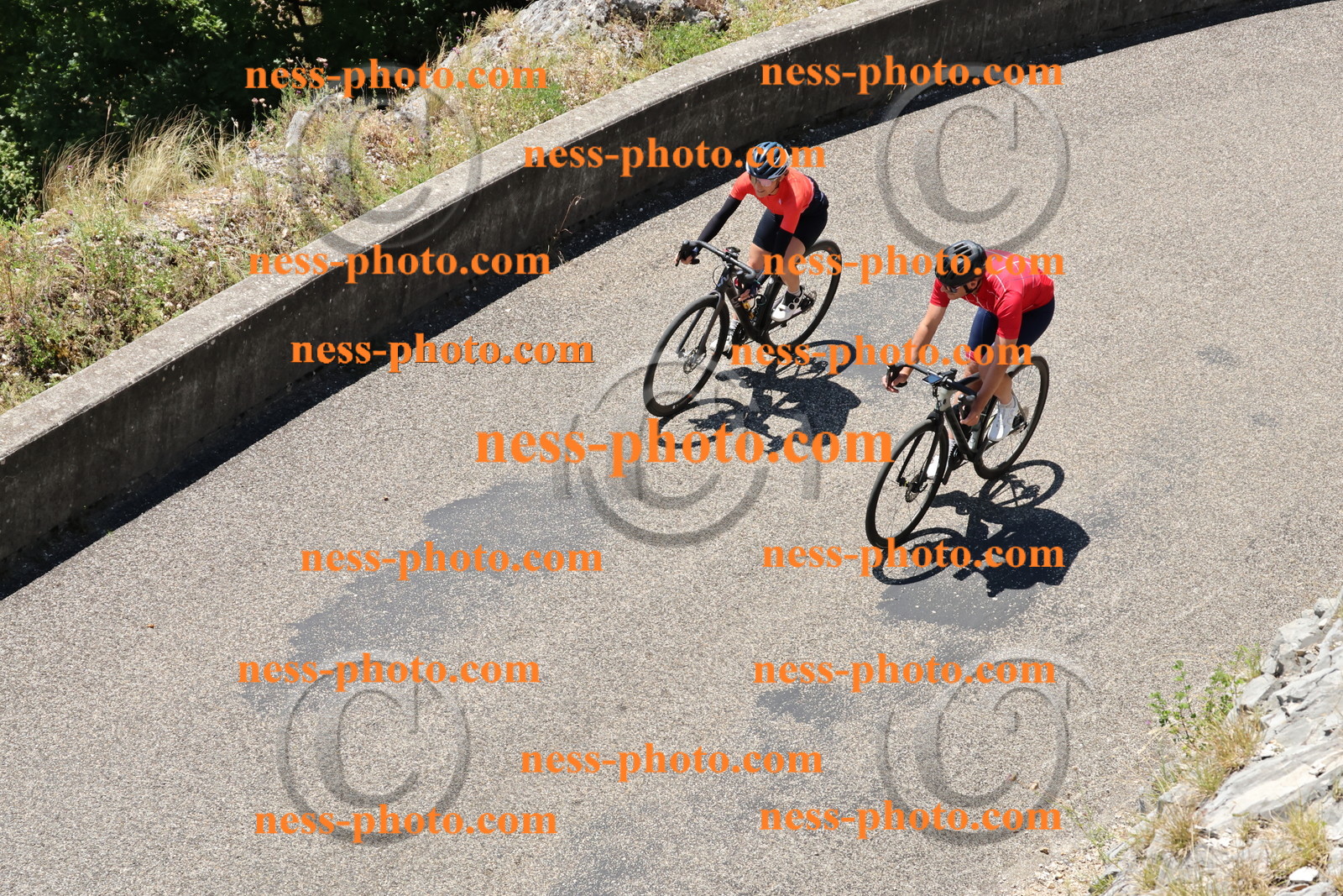 Col du Grand Colombier (572).JPG