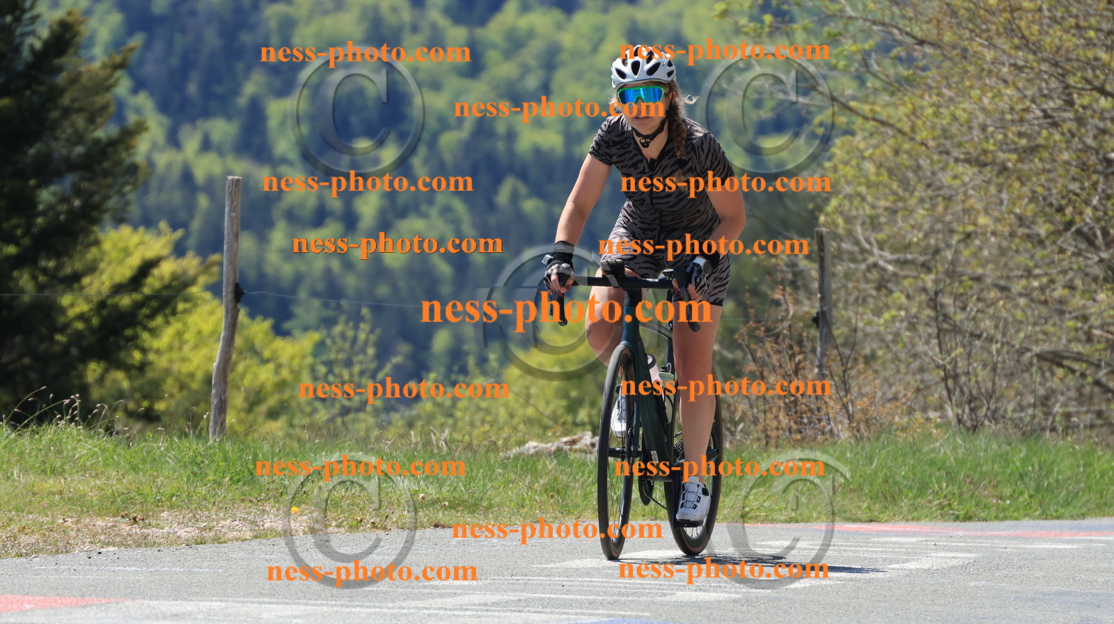 Col du grand Colombier (72).JPG