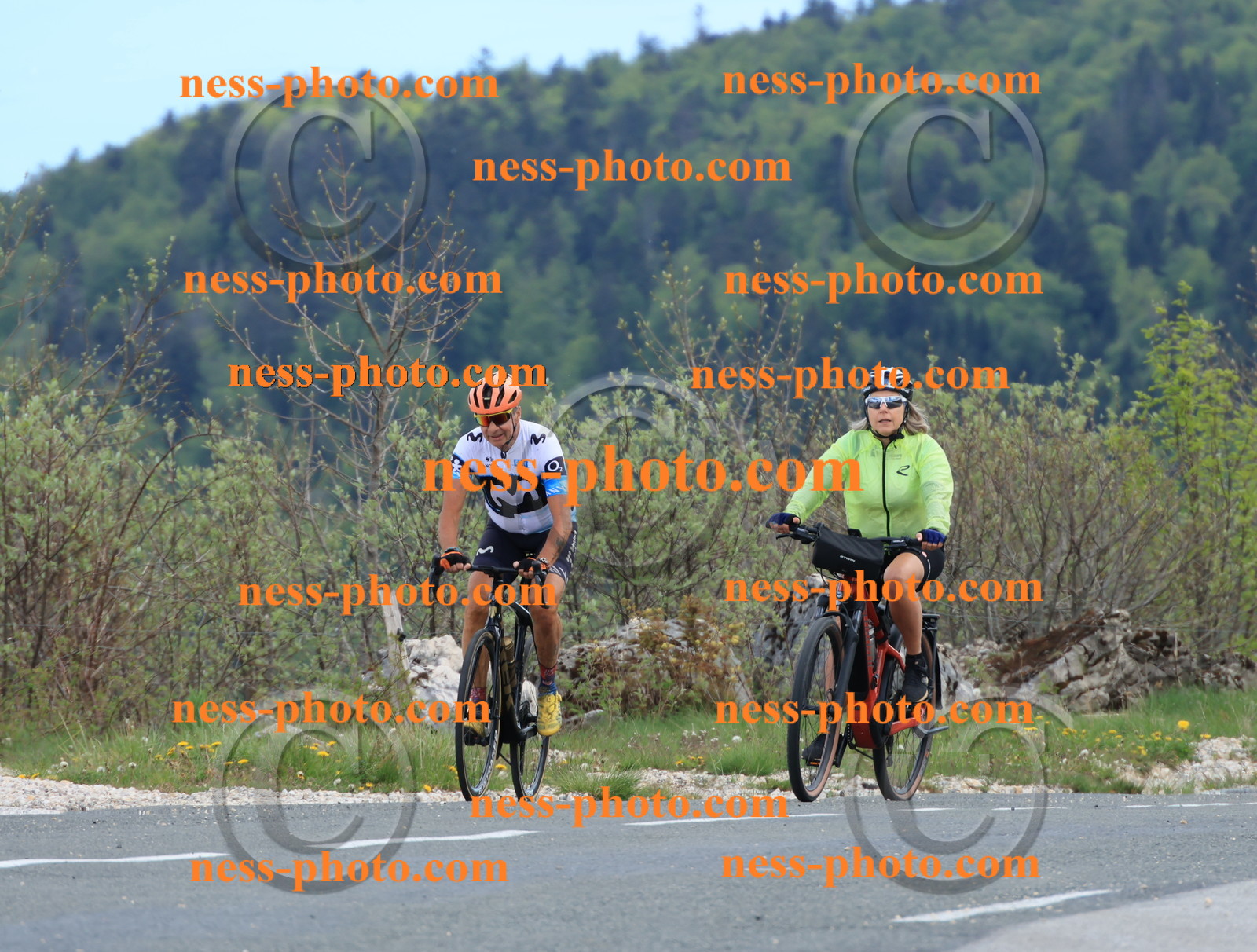 Col du grand Colombier (727).JPG