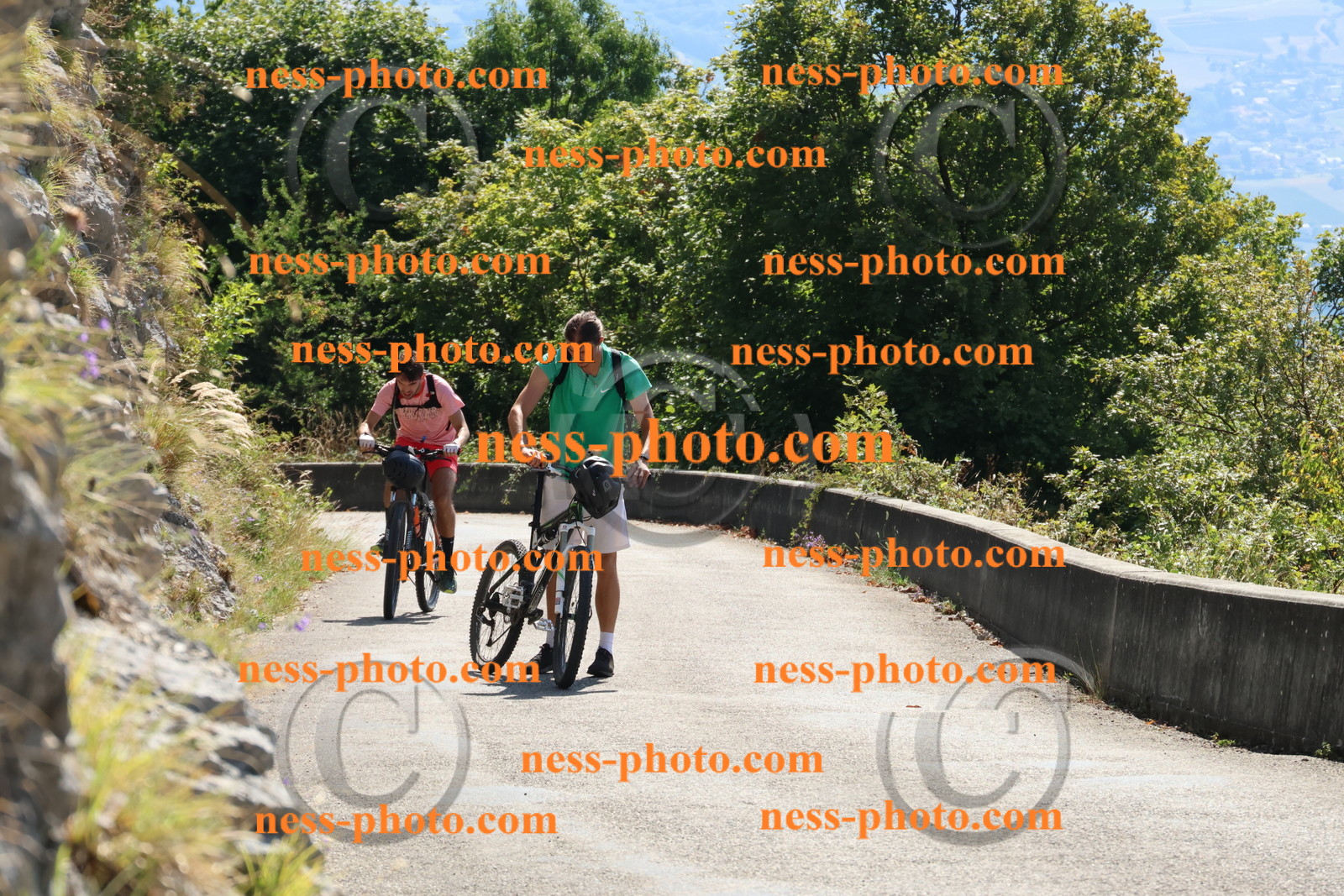 Col du Grand Colombier (228).JPG