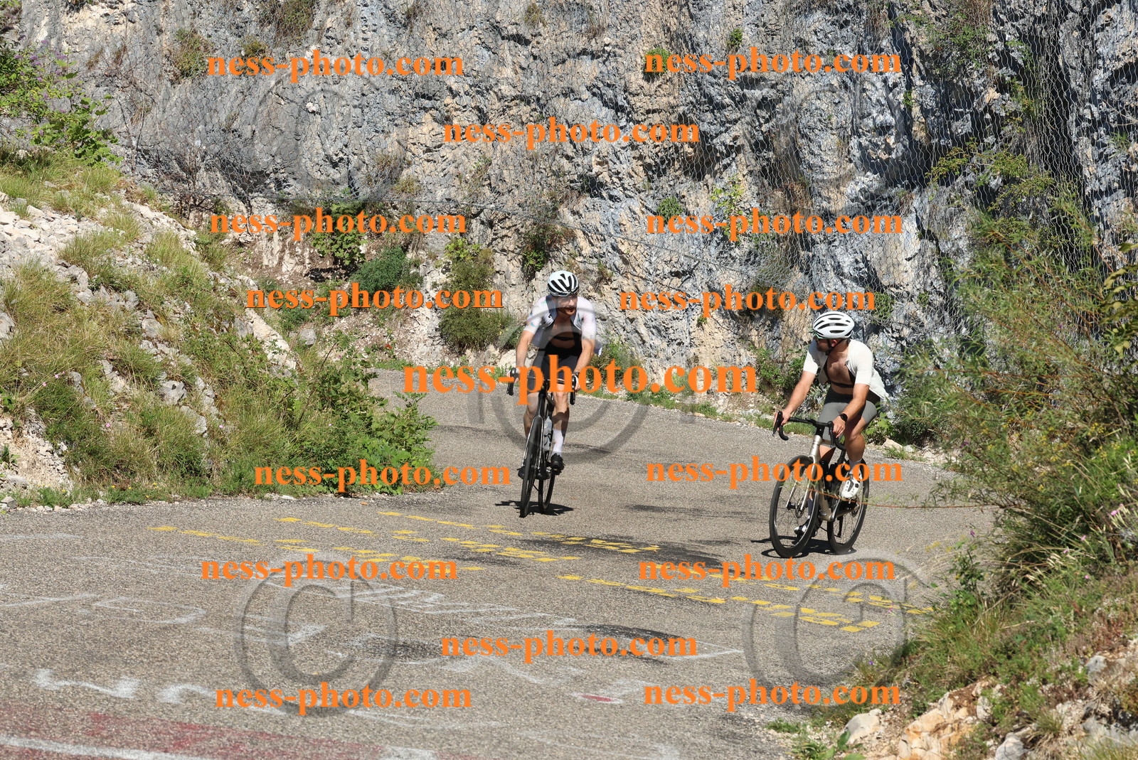 Col du Grand Colombier (304).JPG