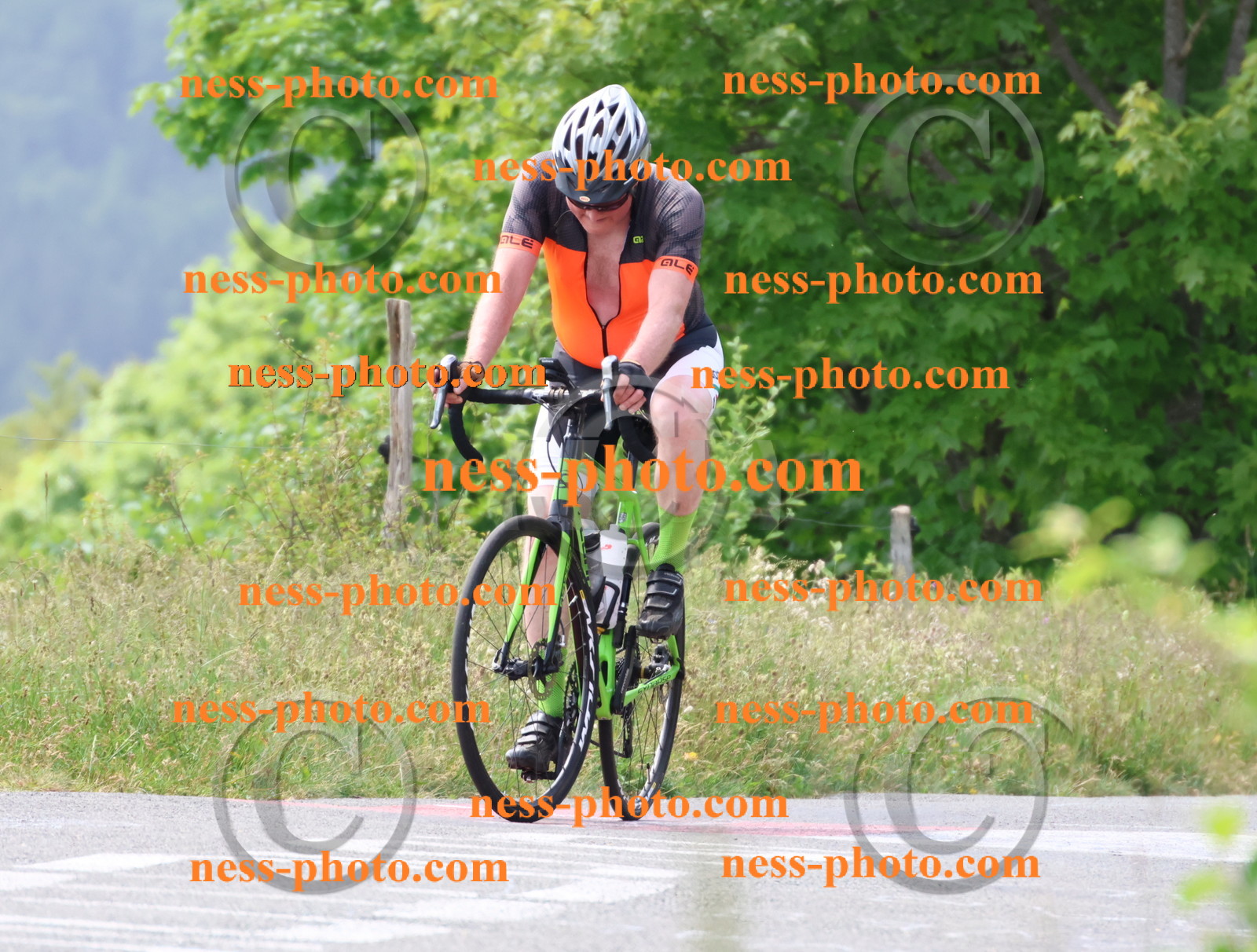 Col du grand Colombier (1872).JPG