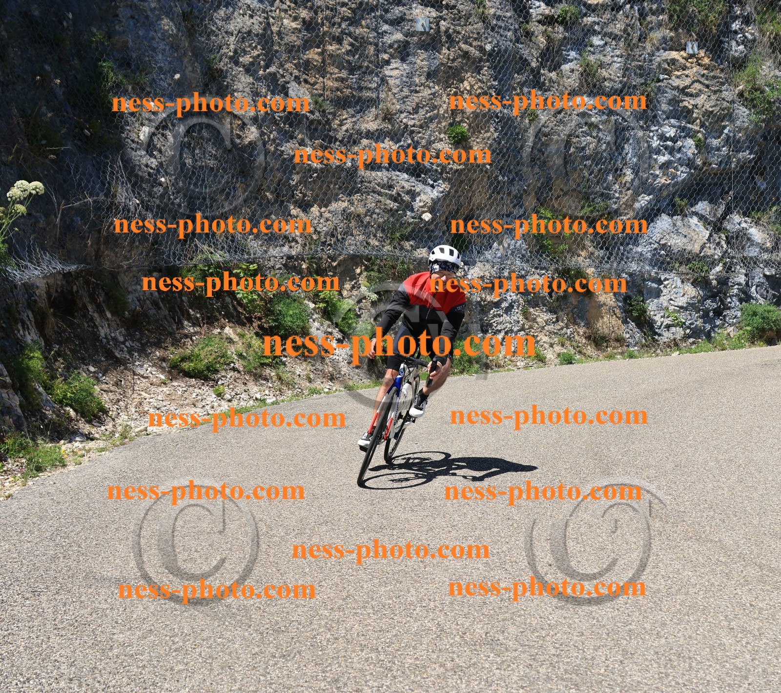 Col du Grand Colombier (692).JPG