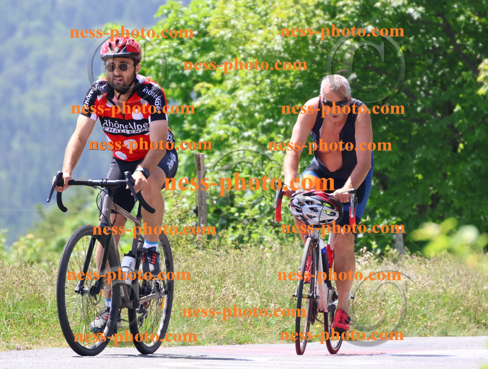 Col du grand Colombier (2374).JPG