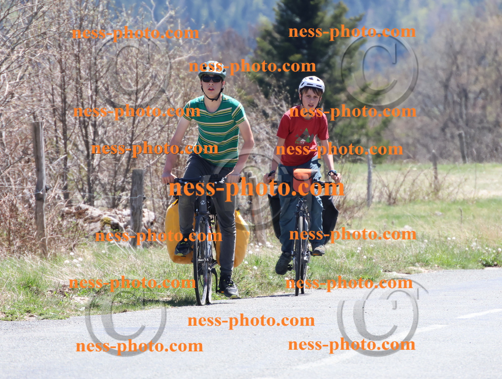 Col du Grand Colombier (810).JPG