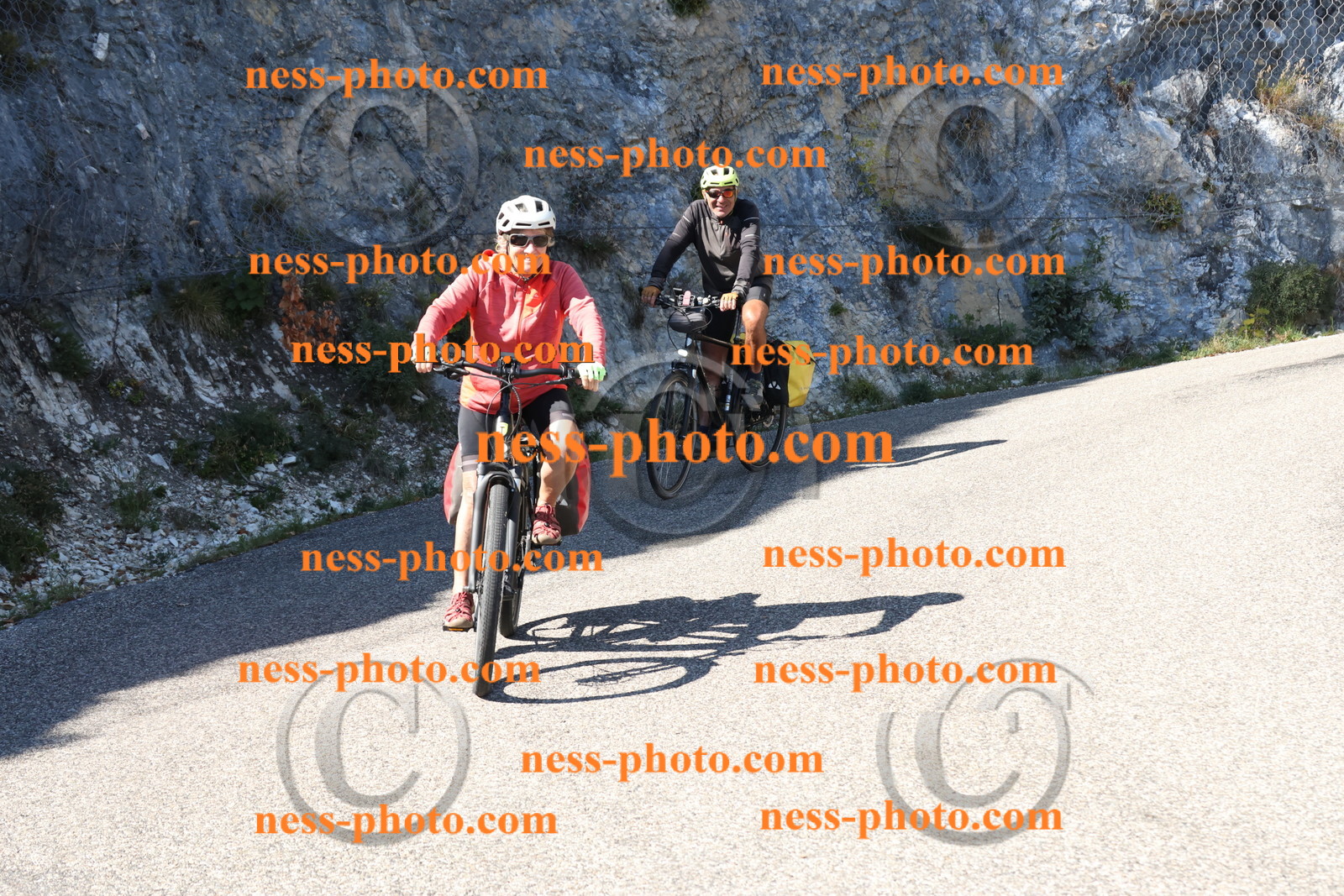 Col du Grand Colombier (505).JPG