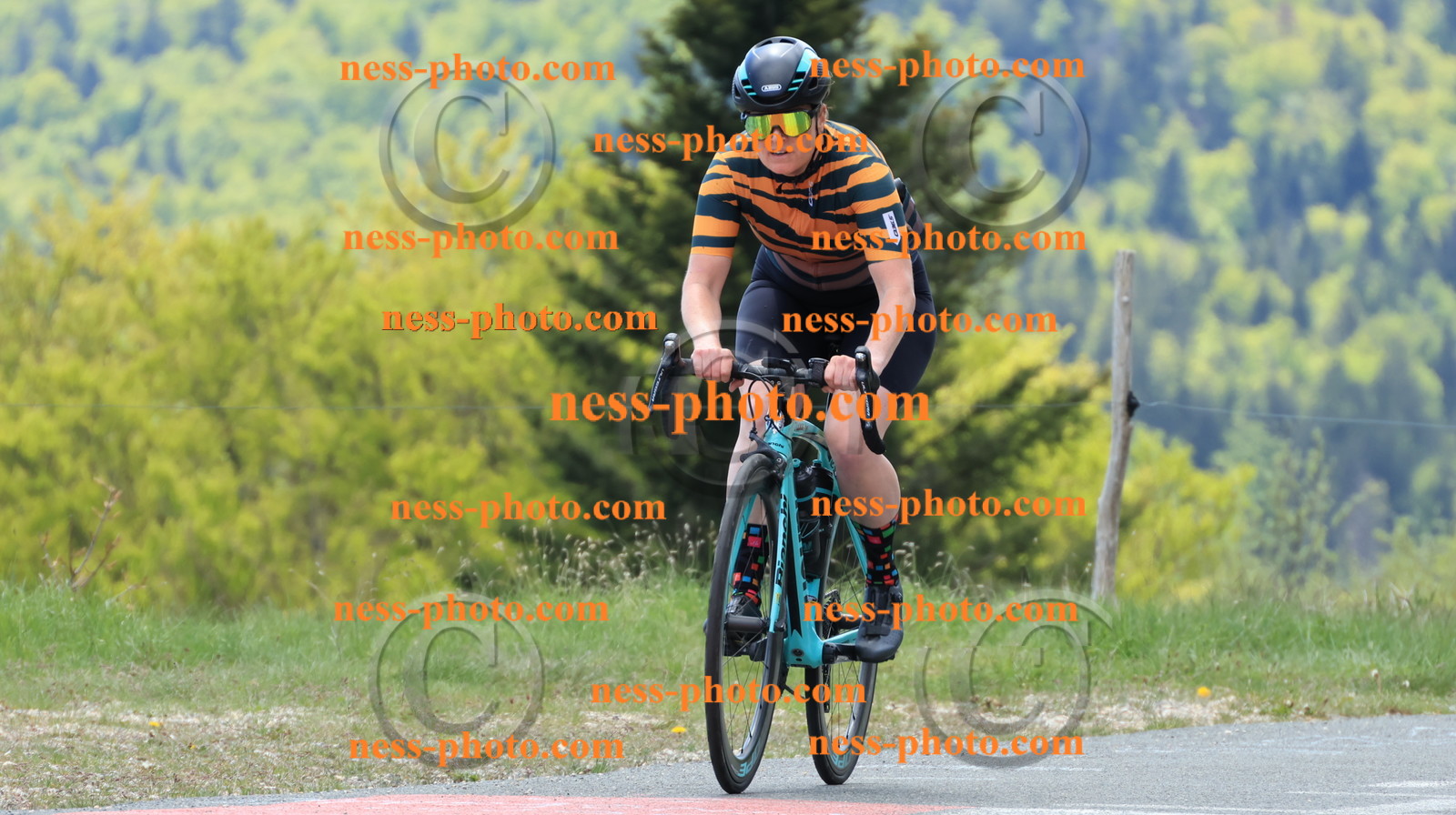 Col du grand Colombier (346).JPG