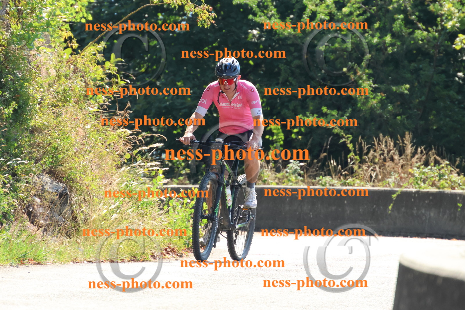 Col du Grand Colombier (158).JPG