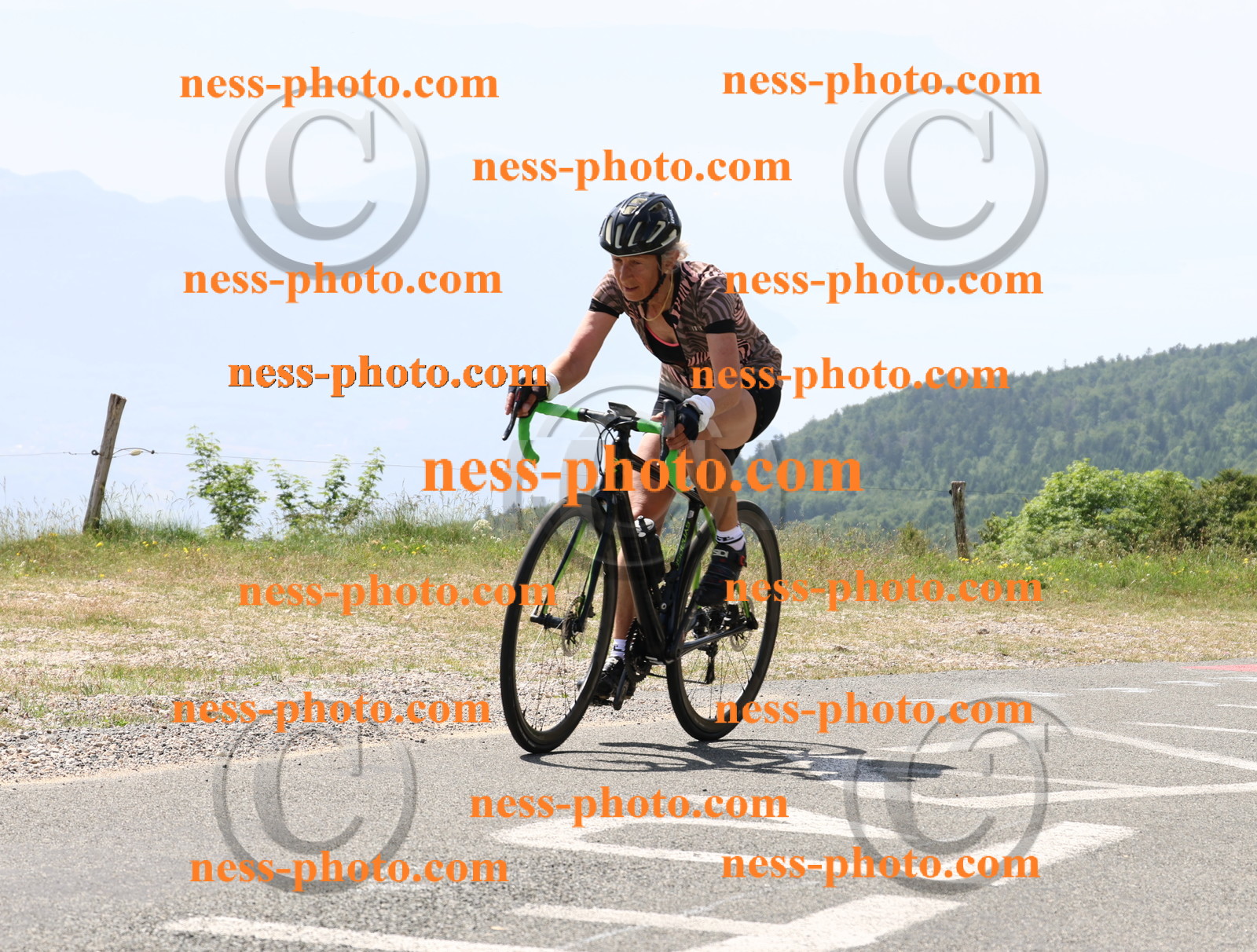 Col du grand Colombier (1636).JPG